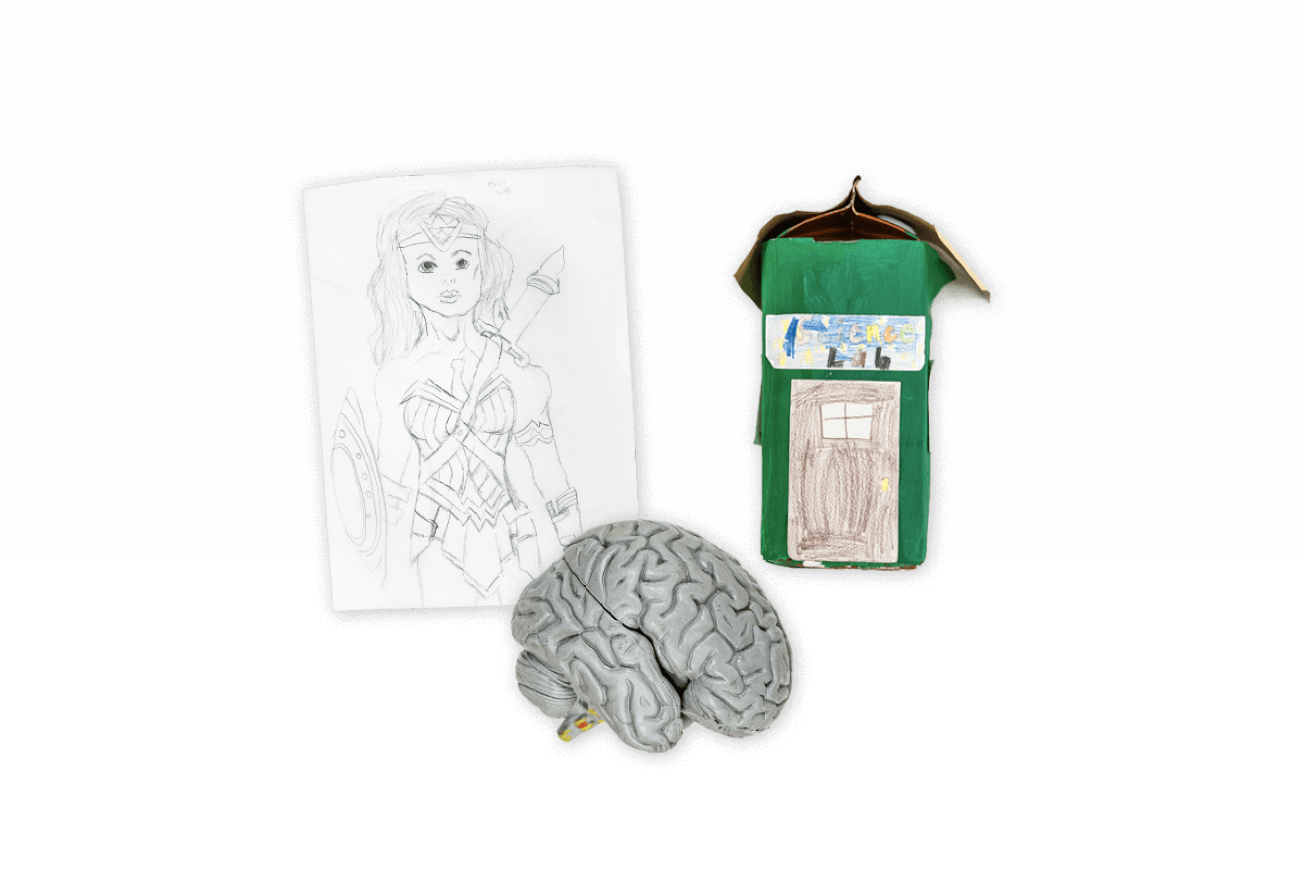 a drawing, a milk carton craft and a model brain