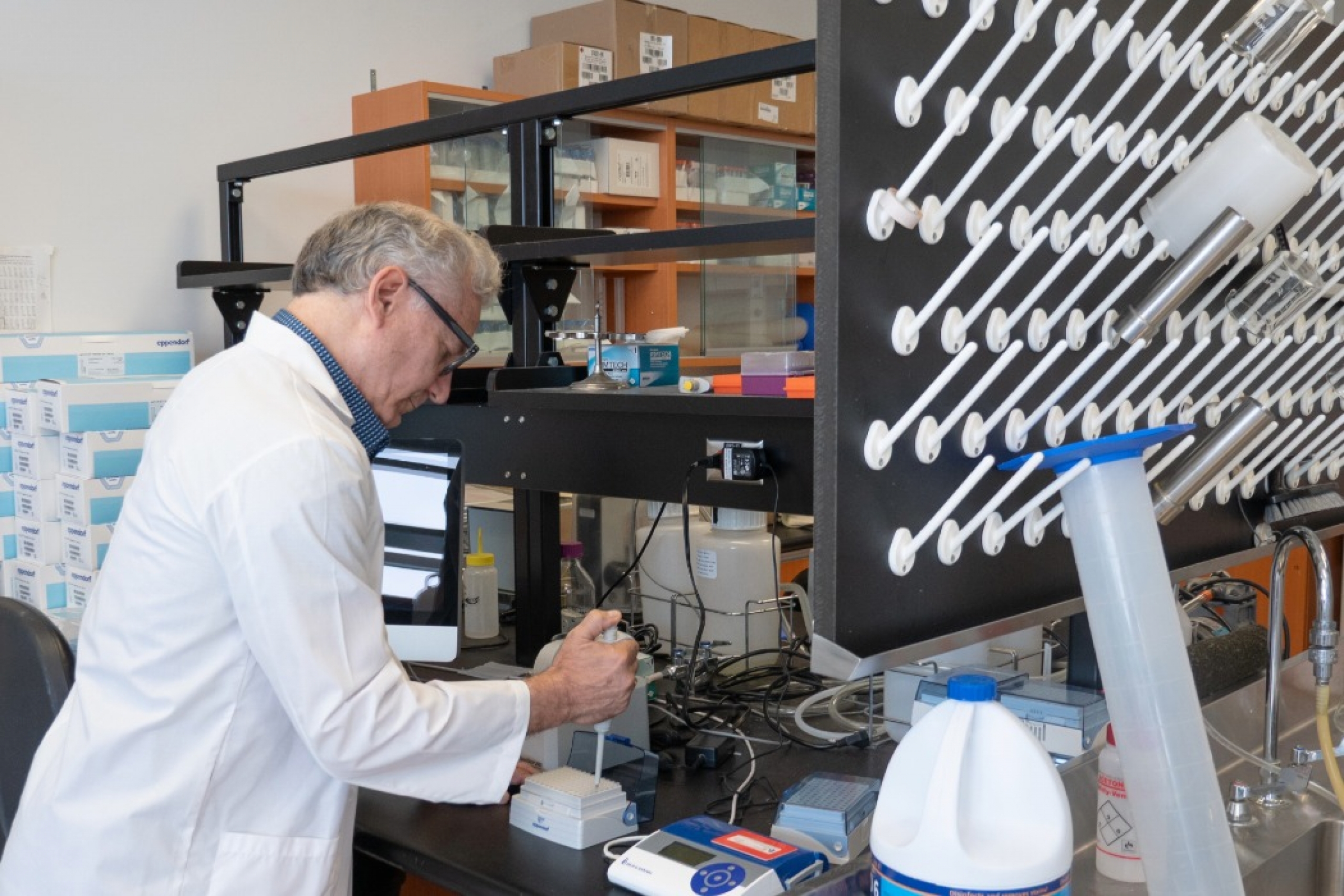 Dr. Charles Bernstein working in his UM lab.