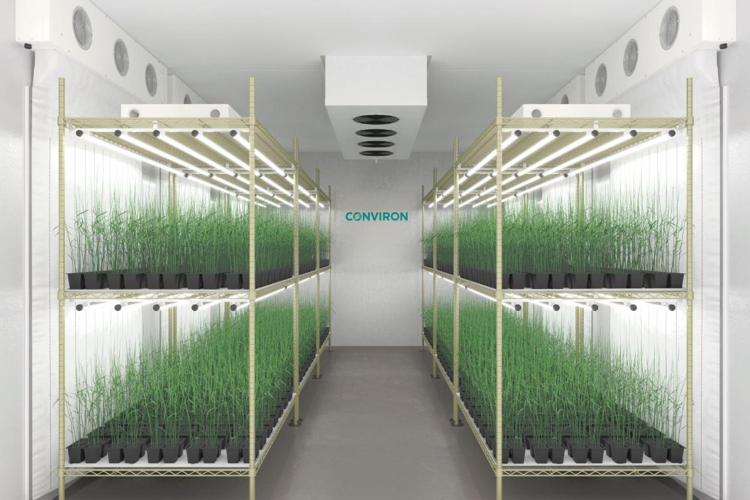 Controlled Environment Facilities rendering