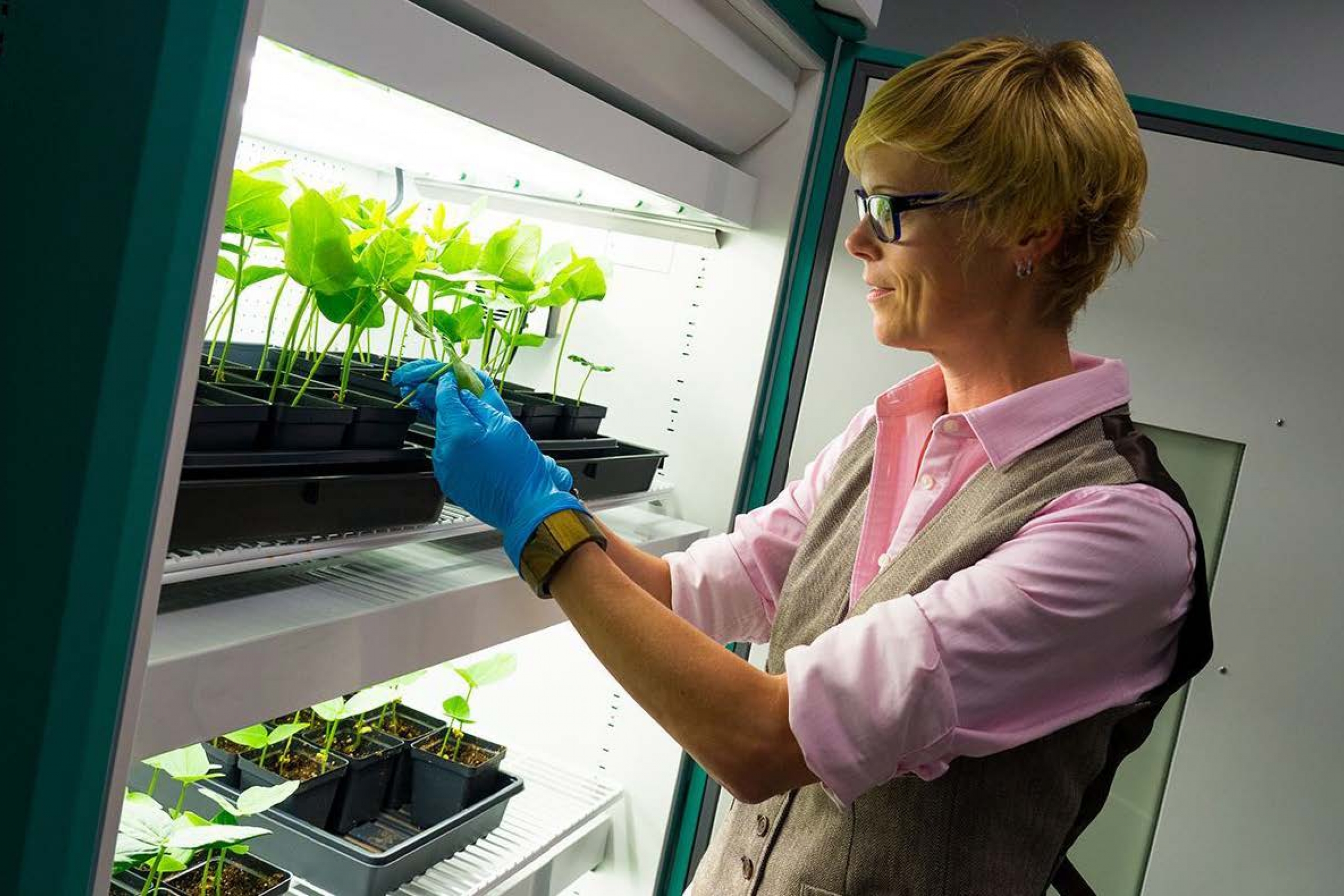 Researcher working in the Controlled Environment Facilities