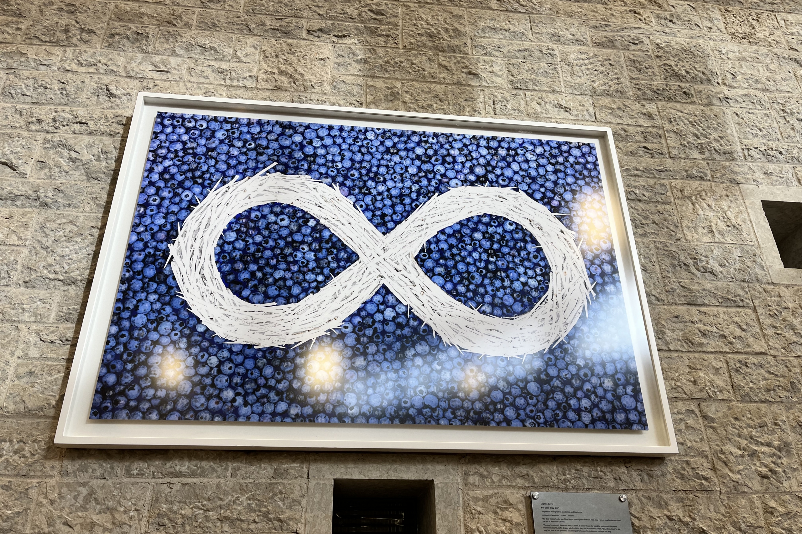 Photography of Metis flag made with hawthornes and blueberries
