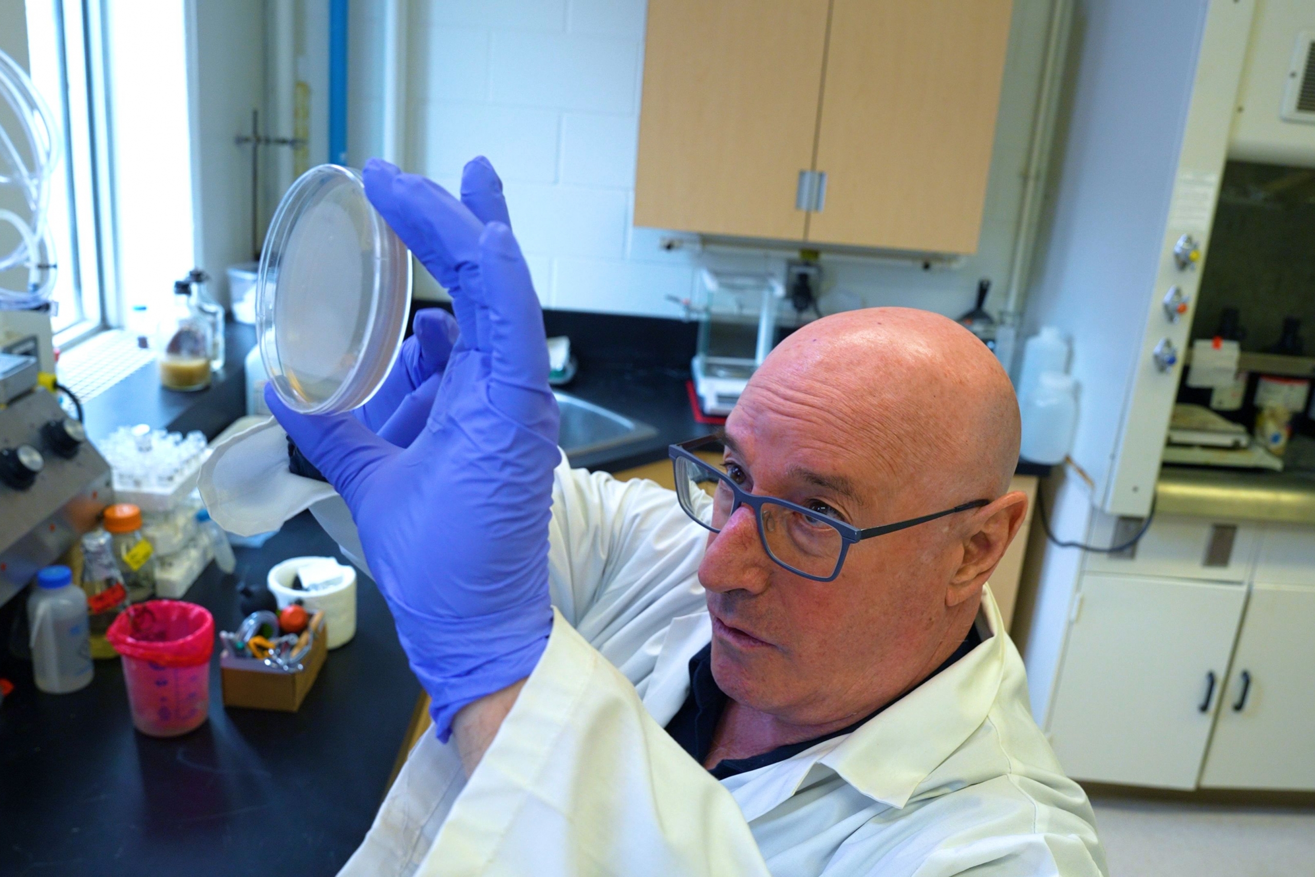 Dr. Levin holding a Petri dish