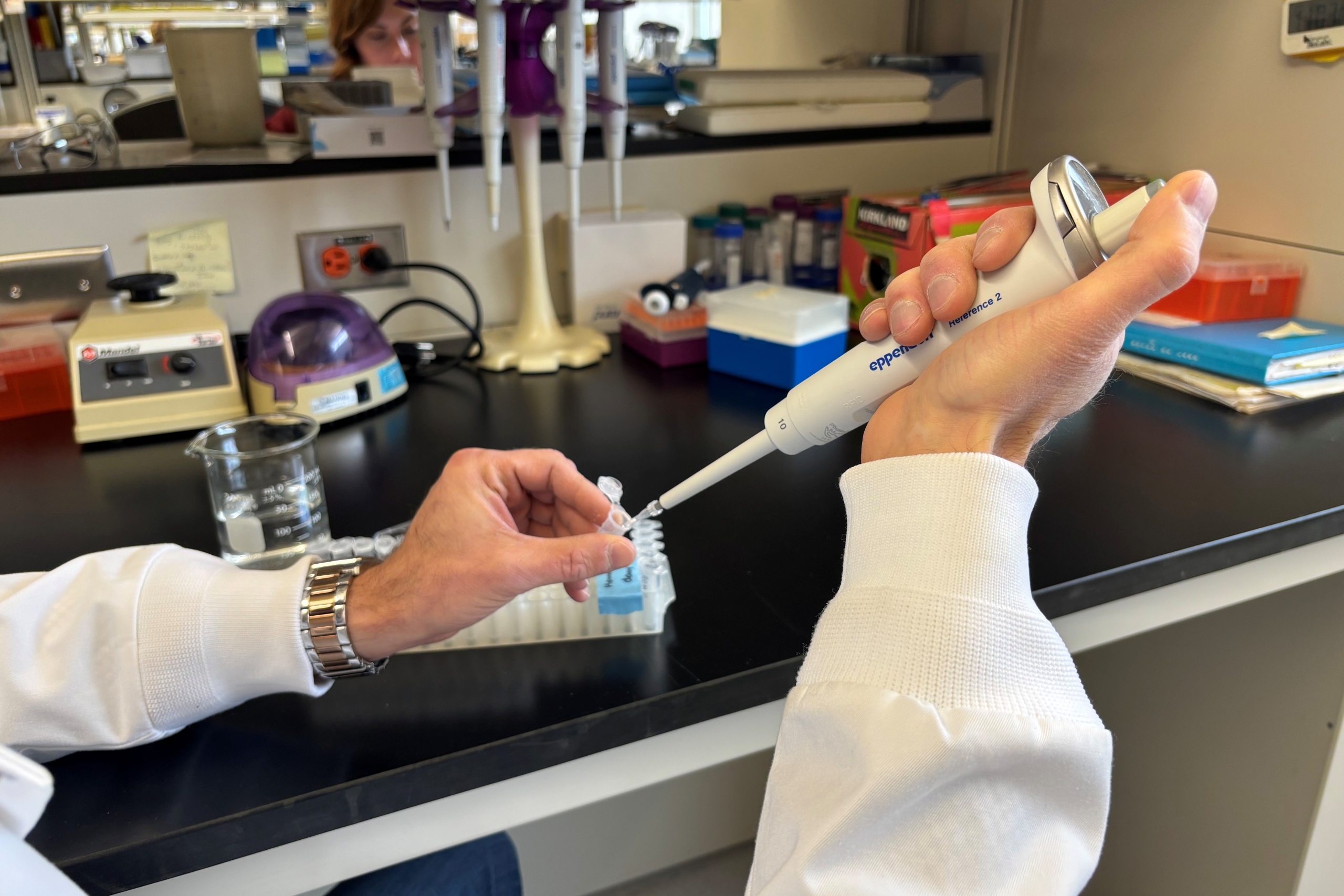 Close up of Dr. Vern Dolinsky's hands using a pipette. 