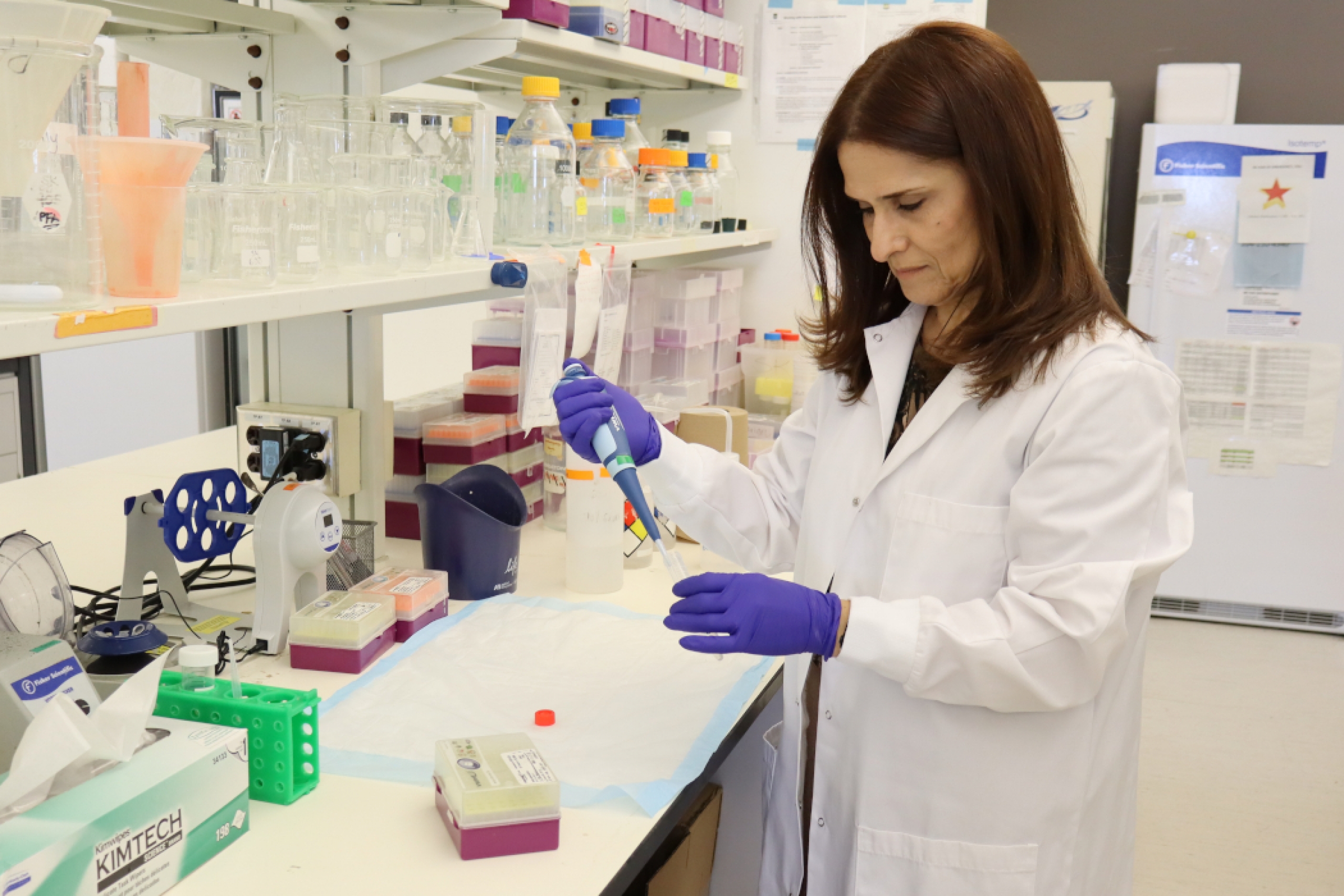 Dr. Soheila Karimi uses a pipette in her lab. 