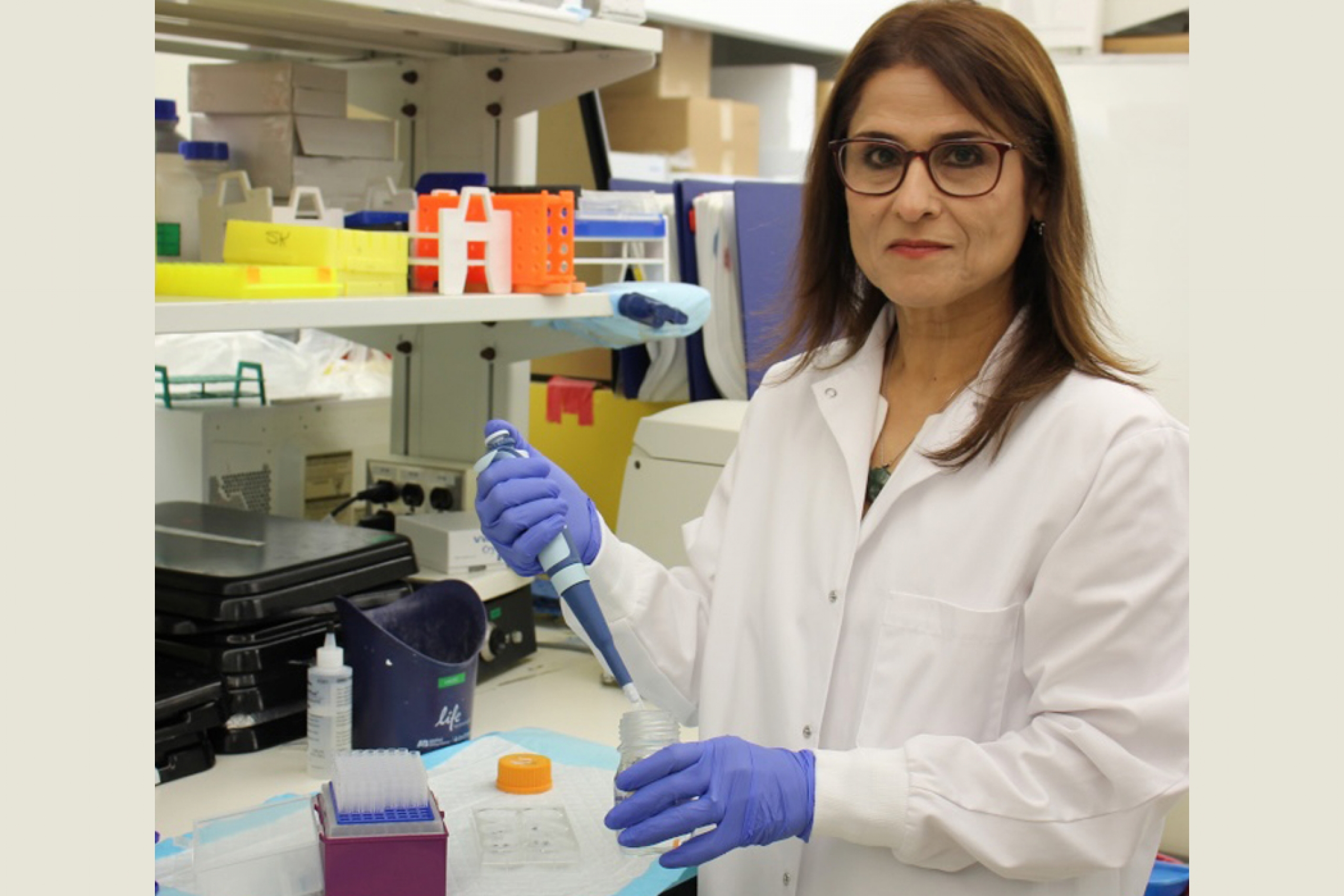 Dr. Soheila Karimi working in her lab