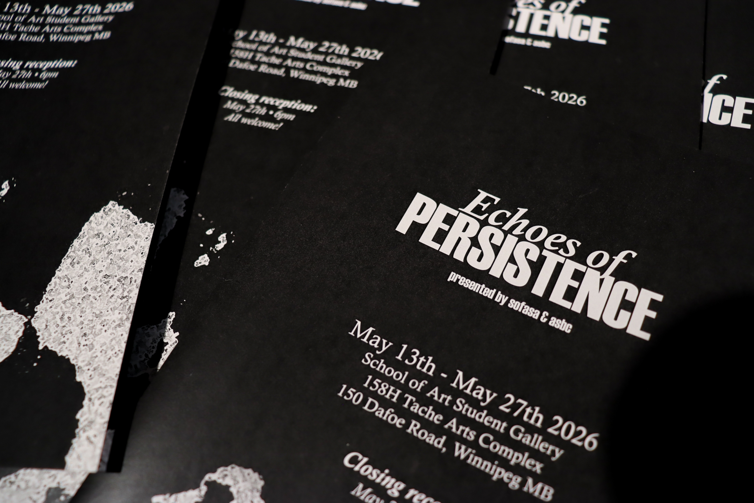 Exhibition brochures for Echoes of Persistence displayed in a stack.