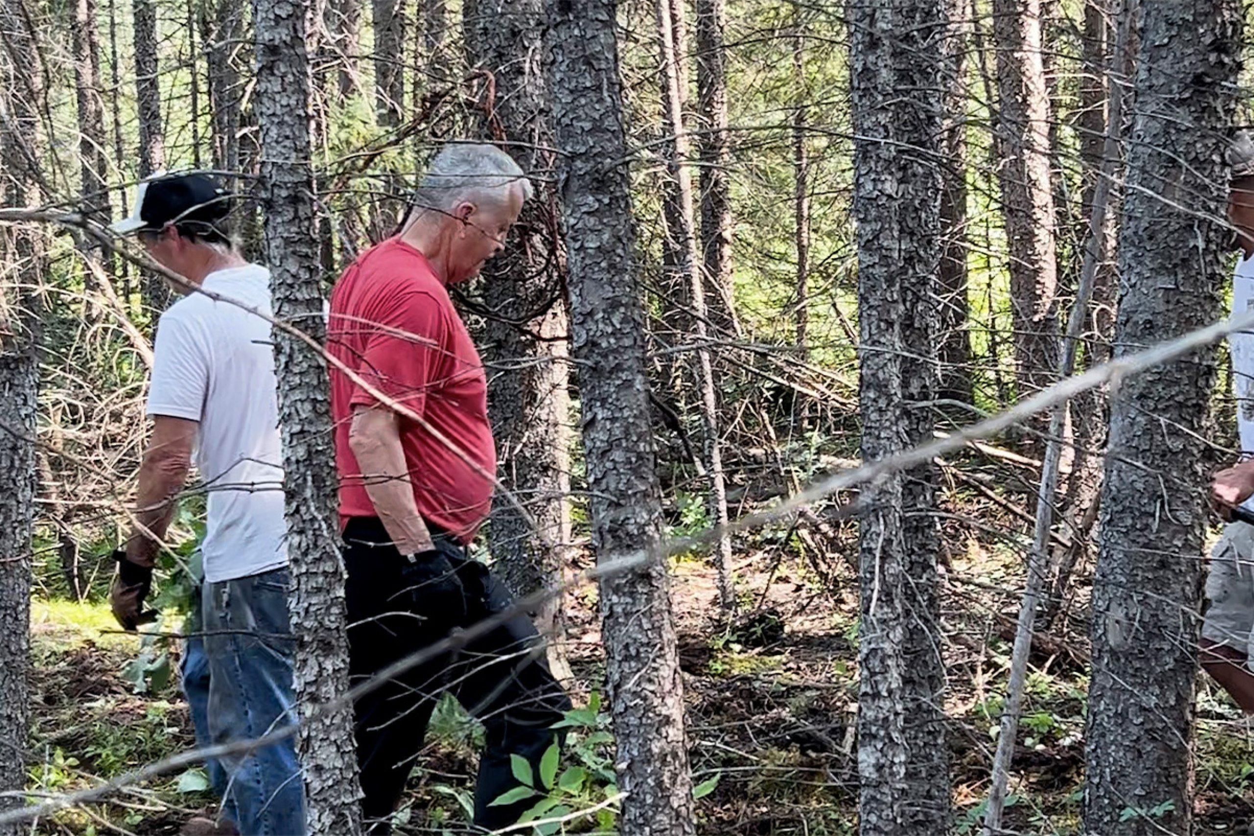 Three men walk through the forest.
