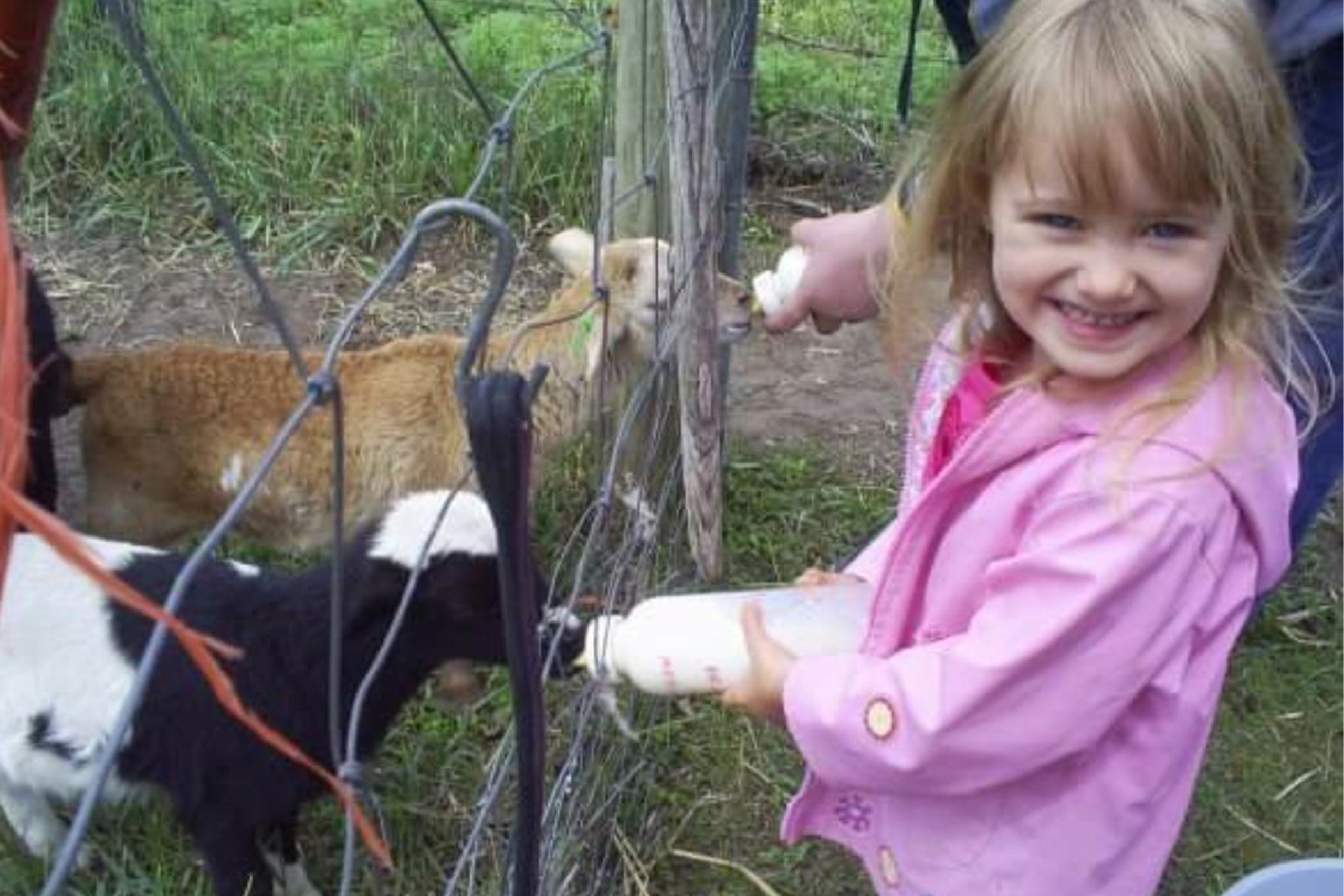 A young Abby Gooch feeding a goat