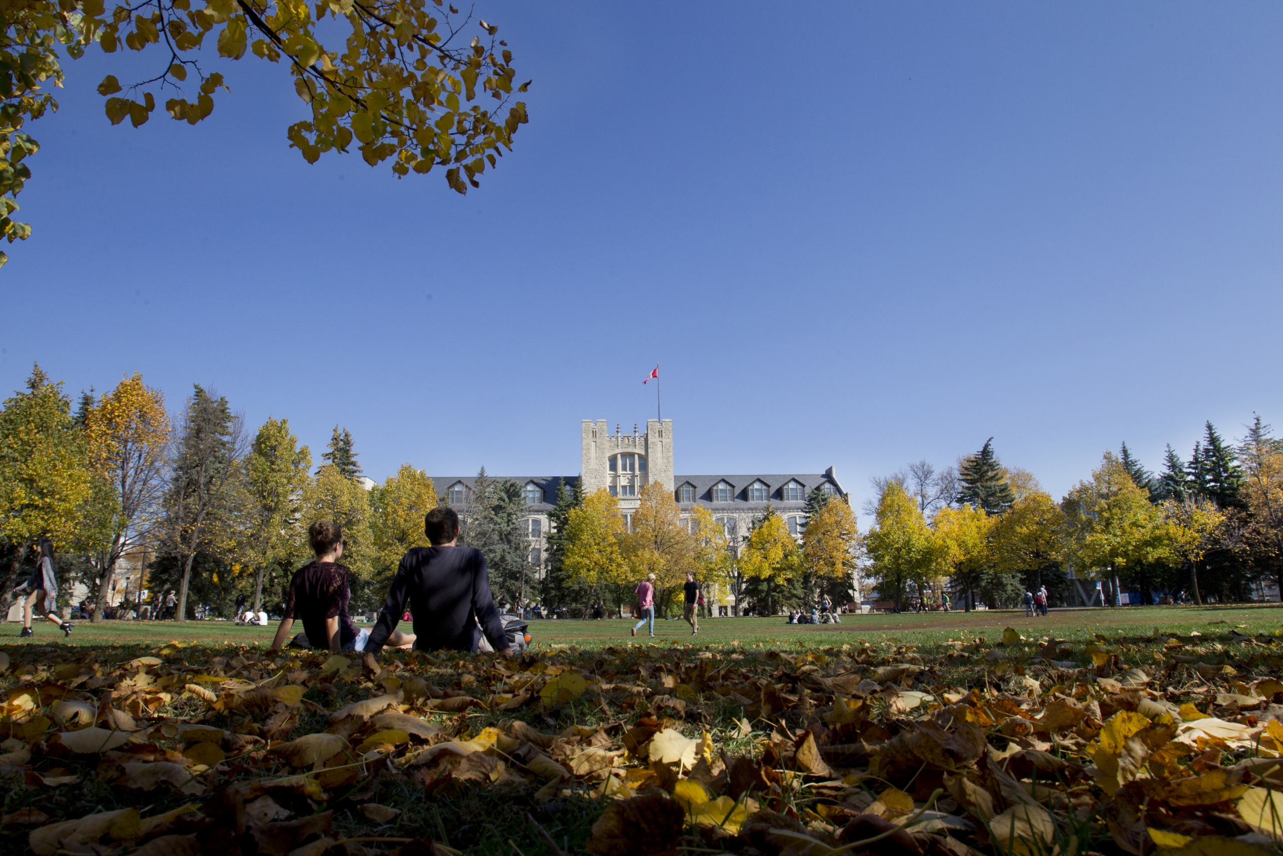 University campus on a fall day 