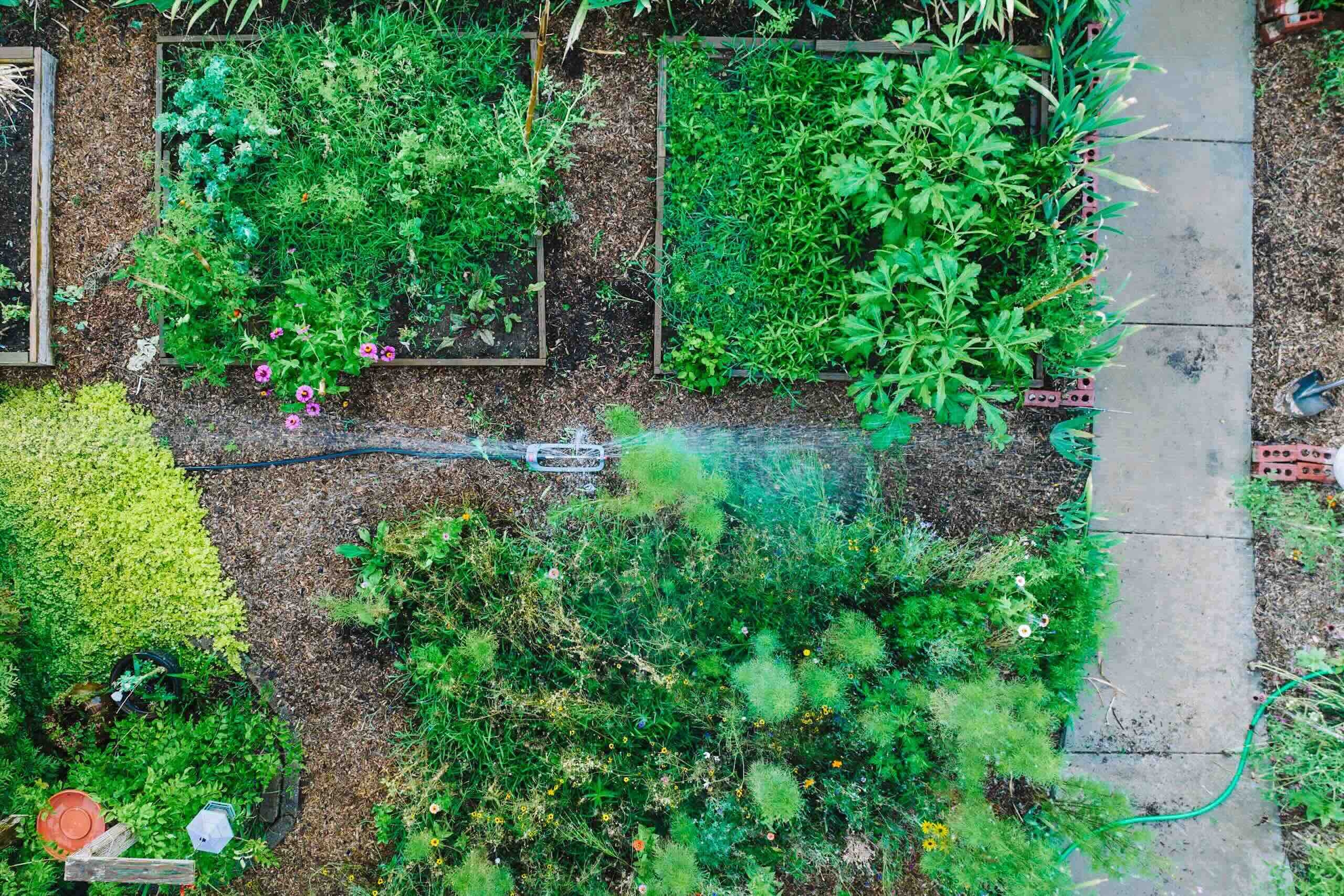 Aerial view of garden with sprinkler irrigation.