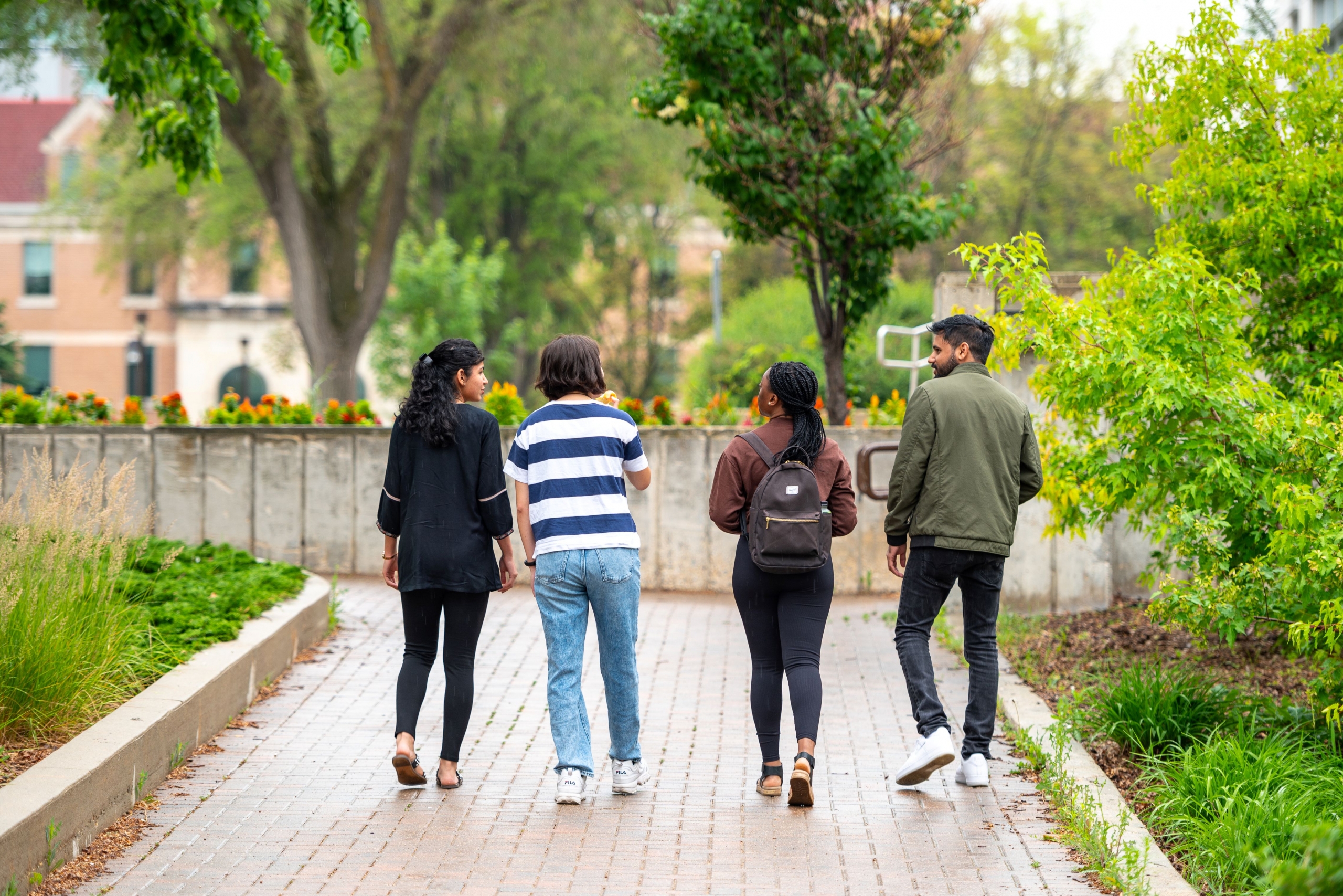 Group of students walking beside garden beds