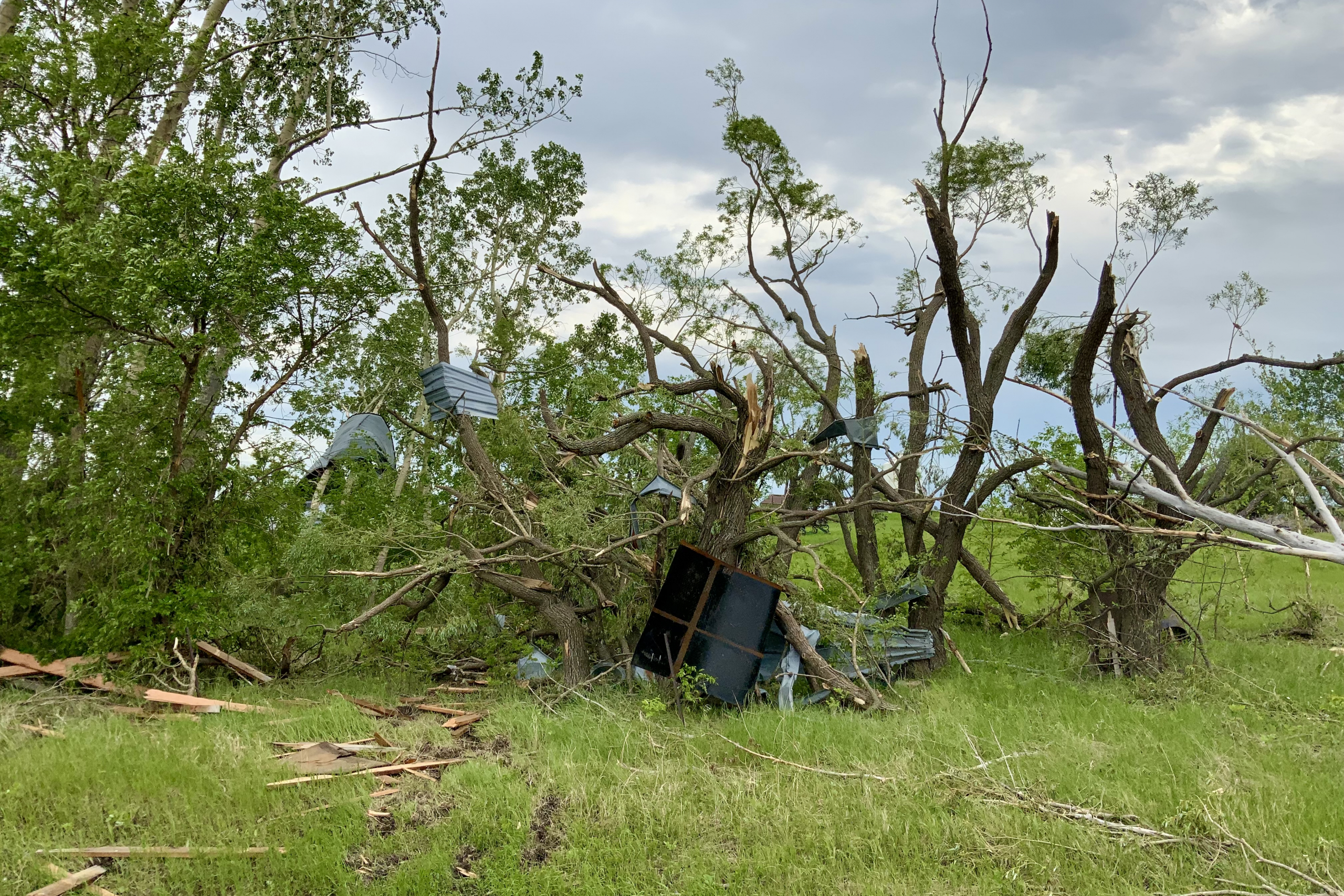 aftermath of a storm