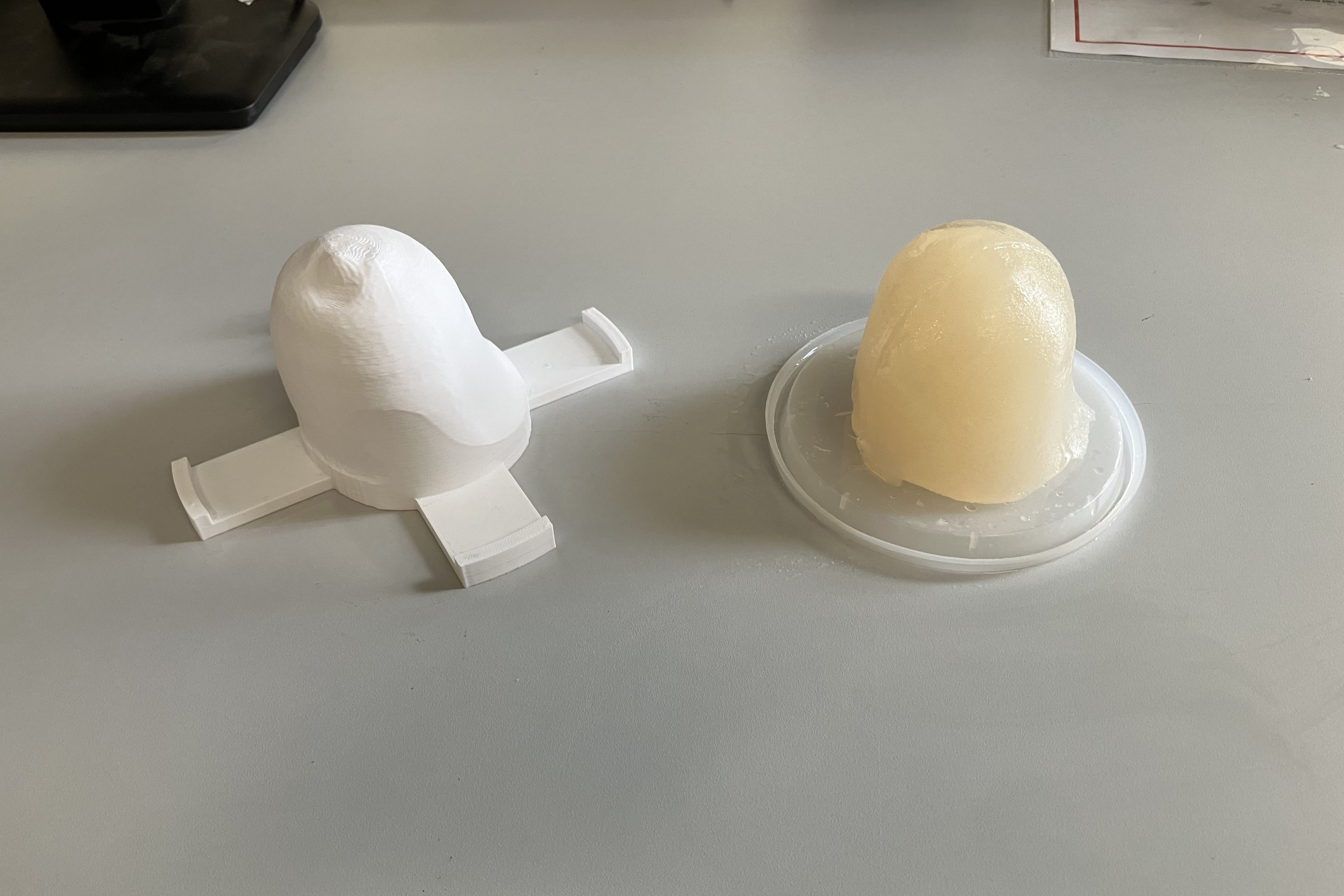 printed breast model and form
