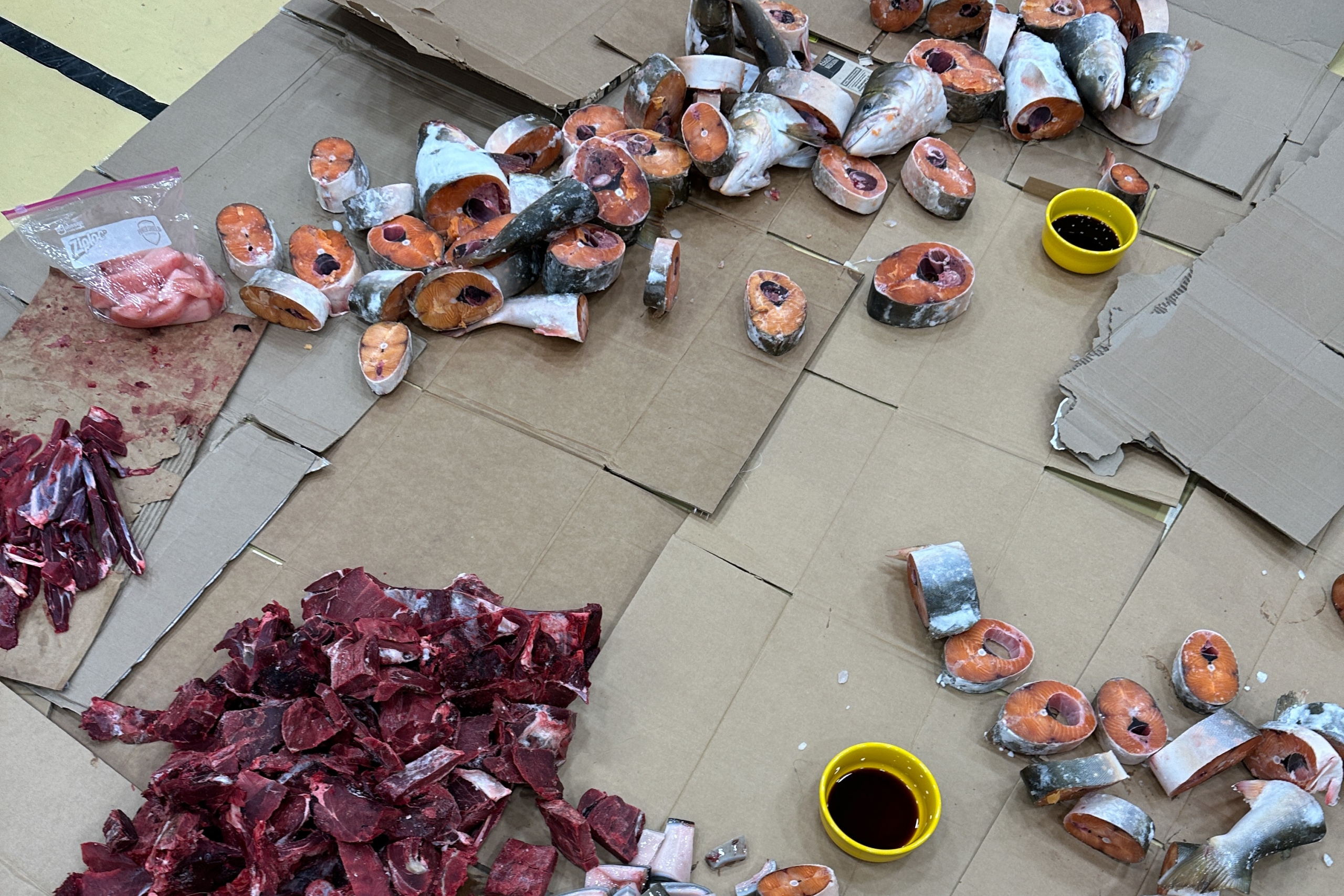  a feast at Sivuniit Middle School (Igloolik, Nunavut) for the Return of the Sun festival.