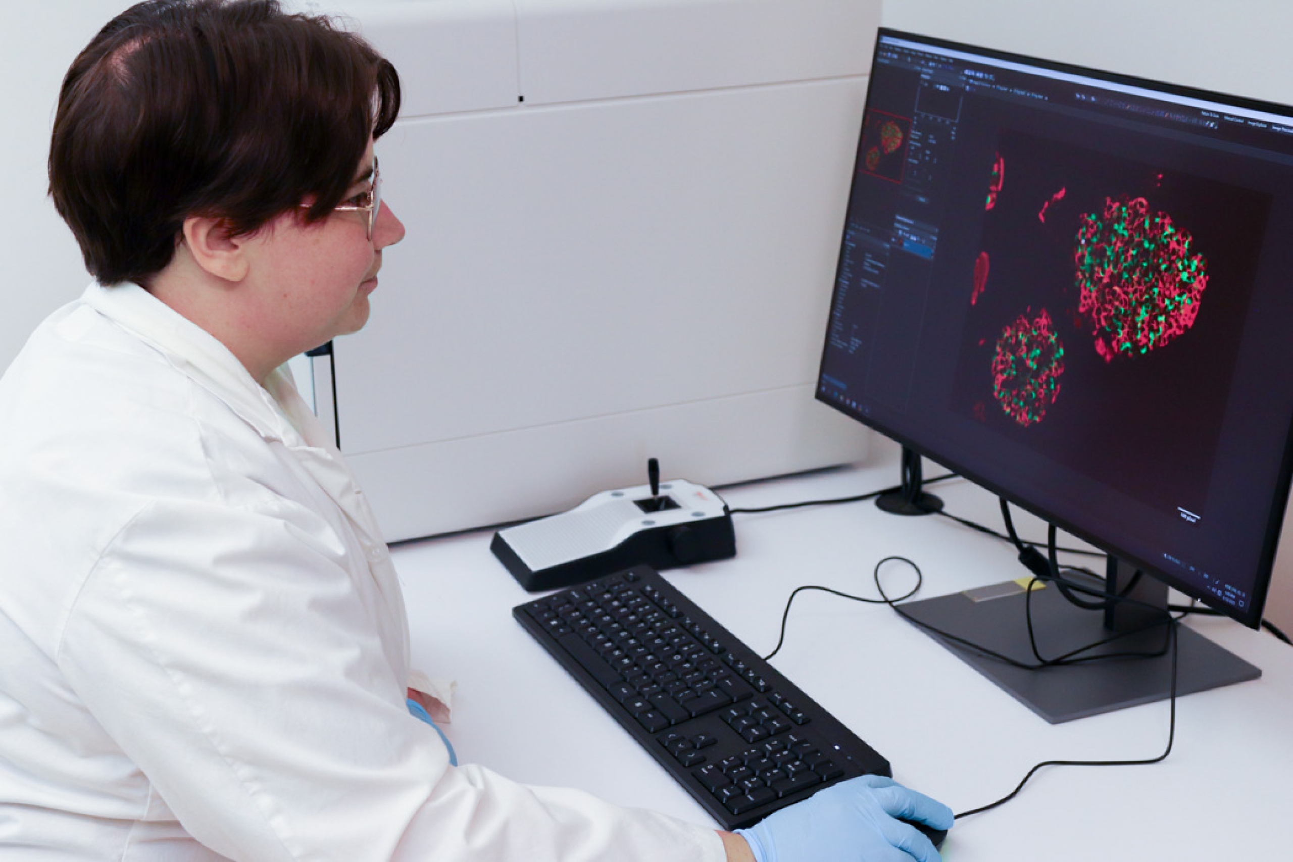 Janessa Sawatzky sits at a computer, looking at a screen displaying an image of cells.