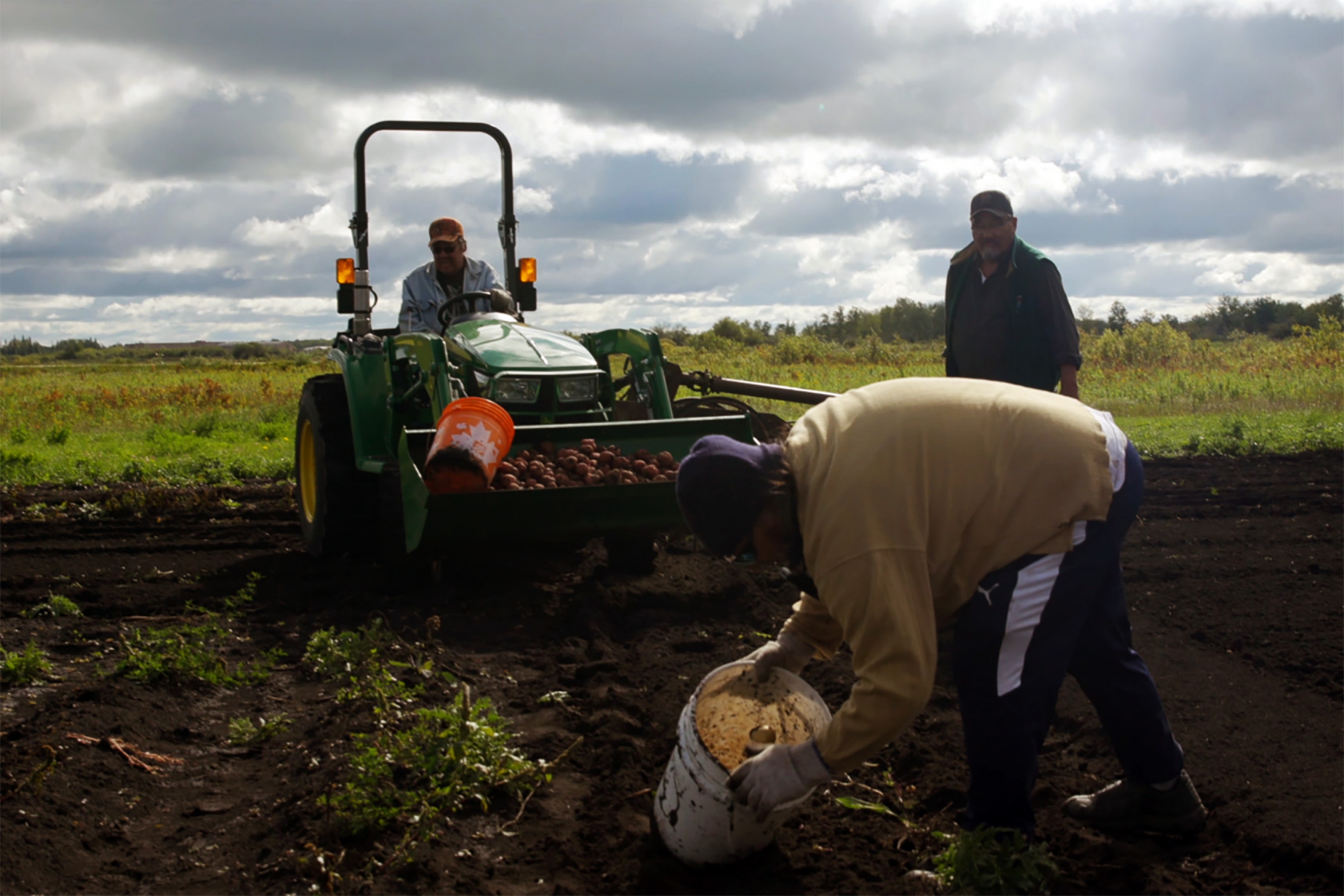1 man on a tractor carries potatoes as 2 men work the field
