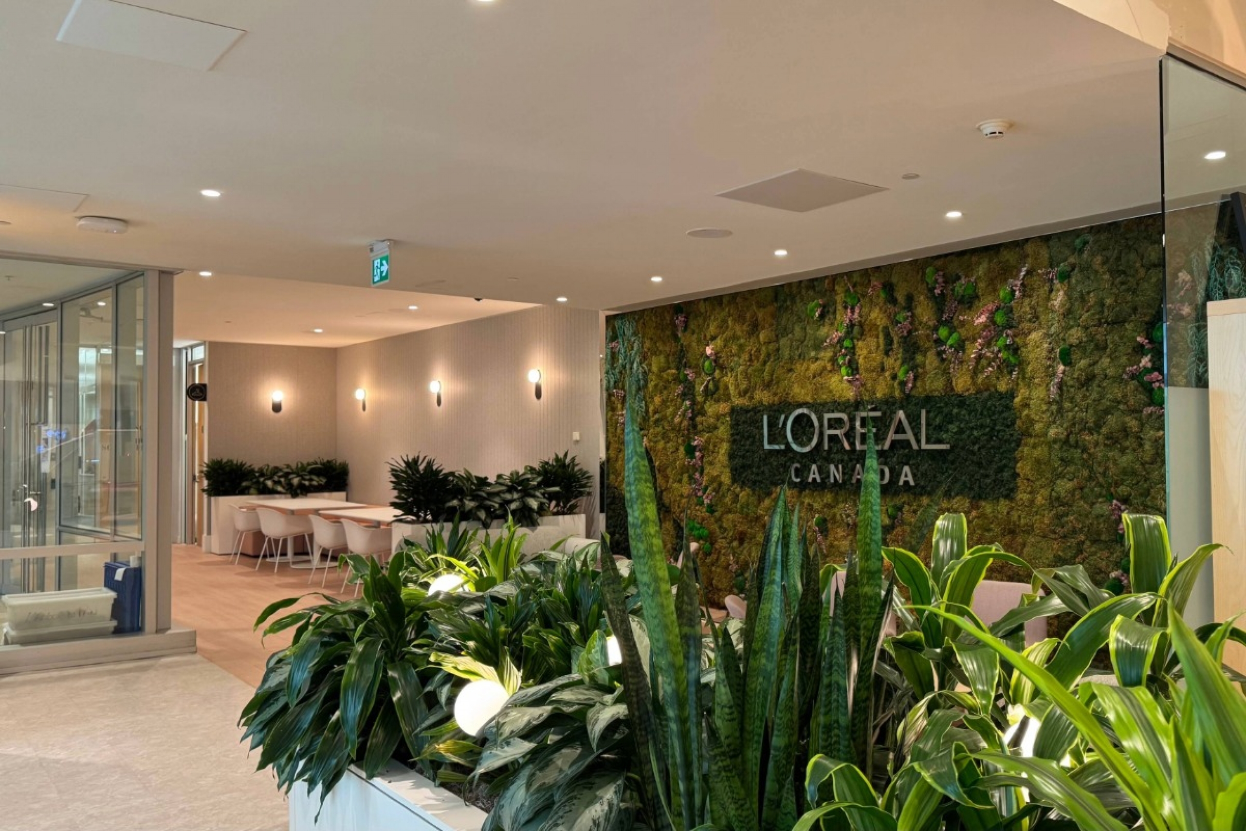 Interior of L’Oréal Montreal's open concept office. 