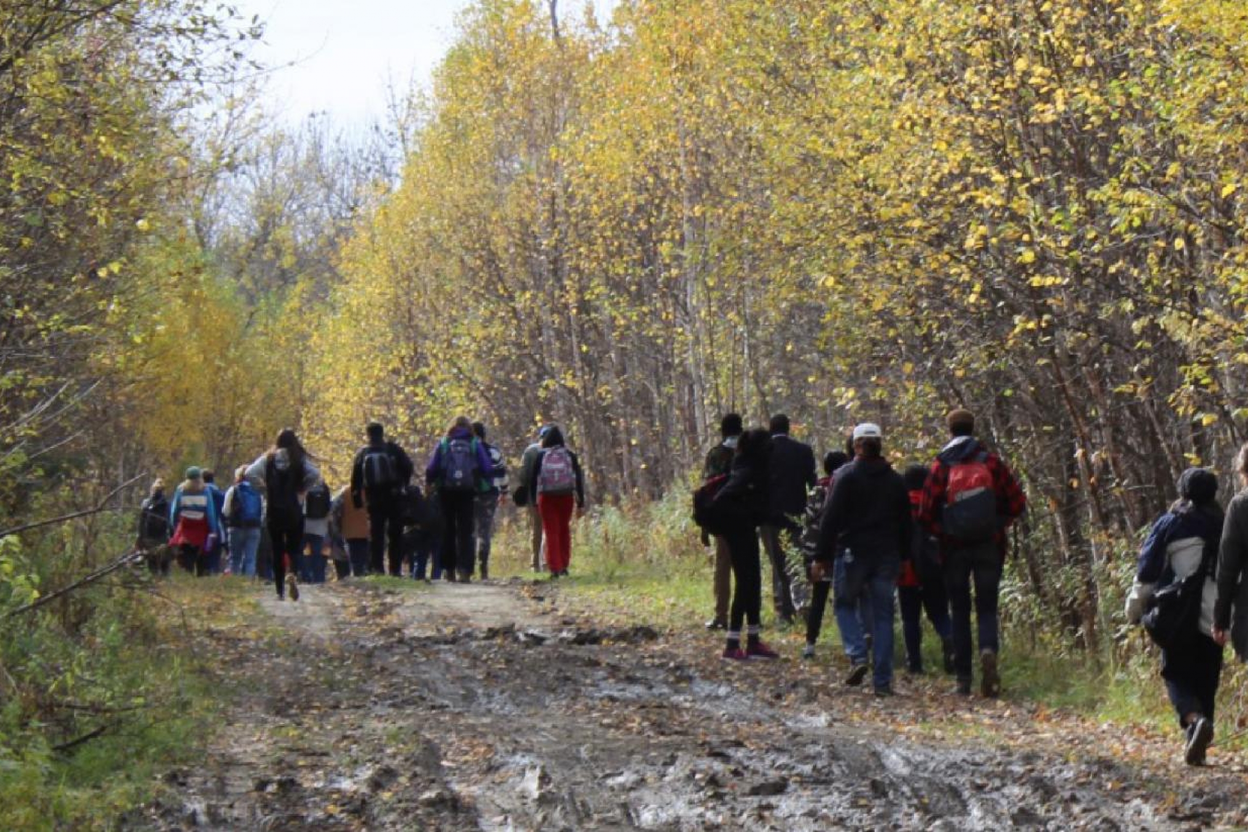 students walking on trail through forest.