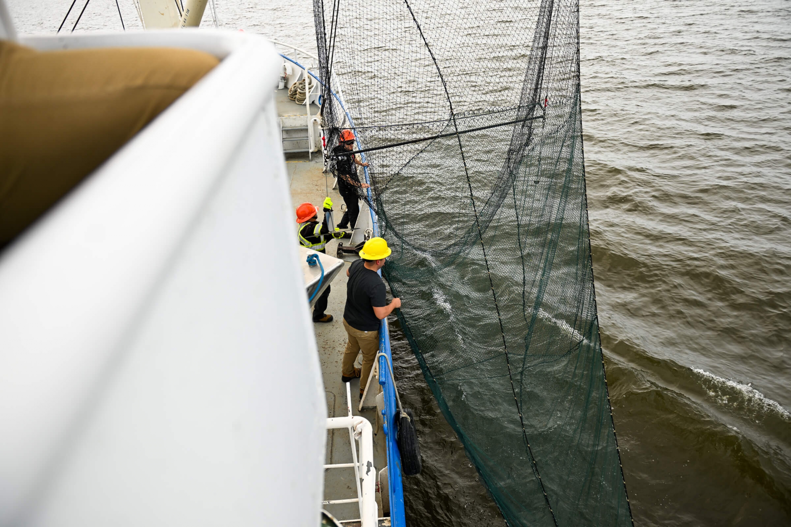 Crewmembers help lower a net to collect small fish—mostly walleye—for measuring