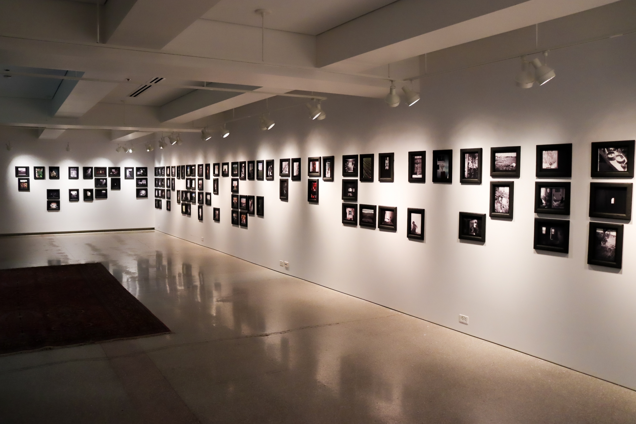 Wide installation view of MacBook Flânerie with dozens of framed photographs across a gallery wall.