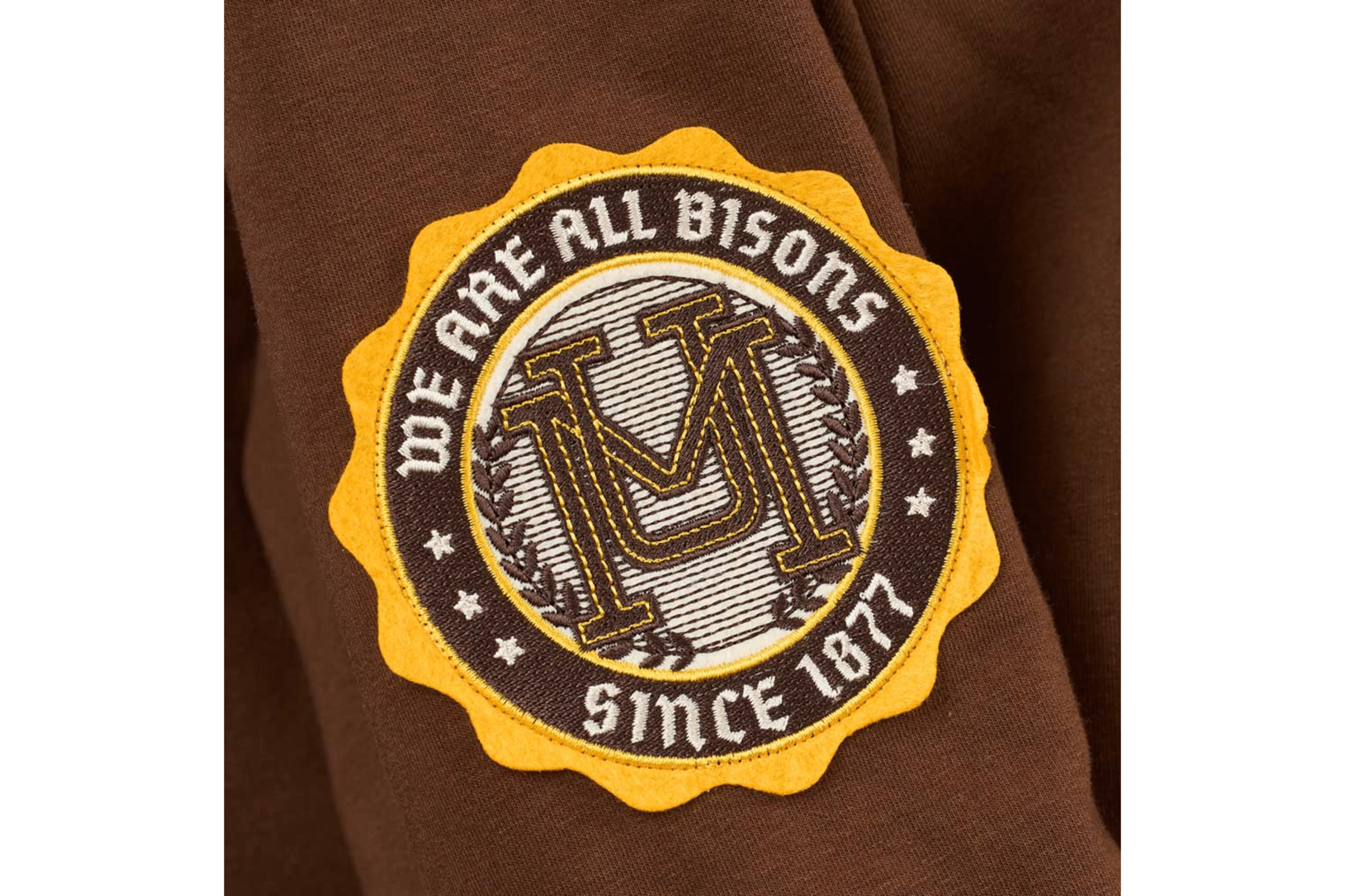 Arm patch with "We are all Bisons" embroidery