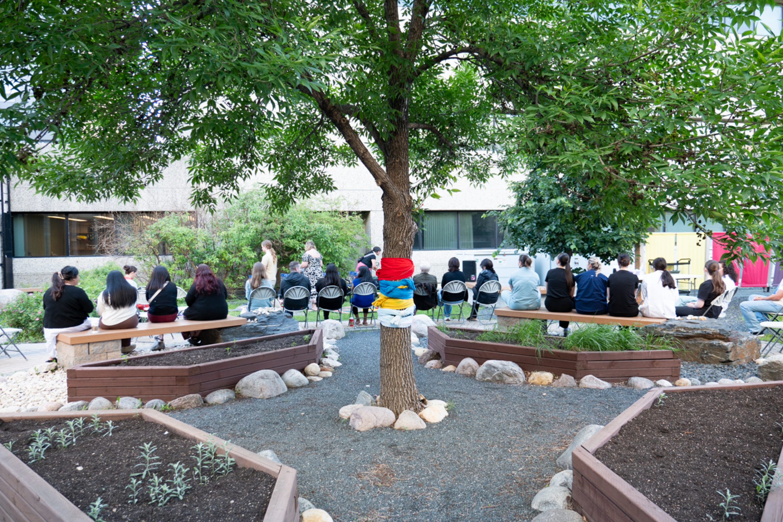 A tree in the middle of a garden. People are gathered in the area.
