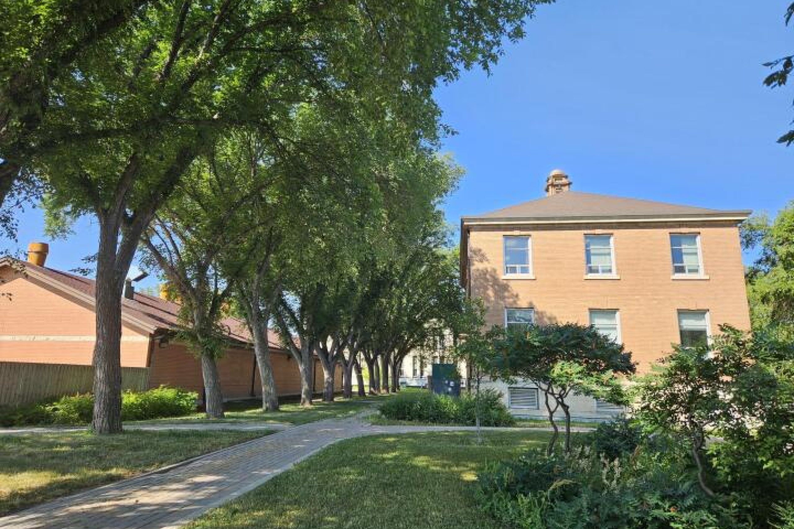 Row of elm trees behind the Agriculture lecture block building