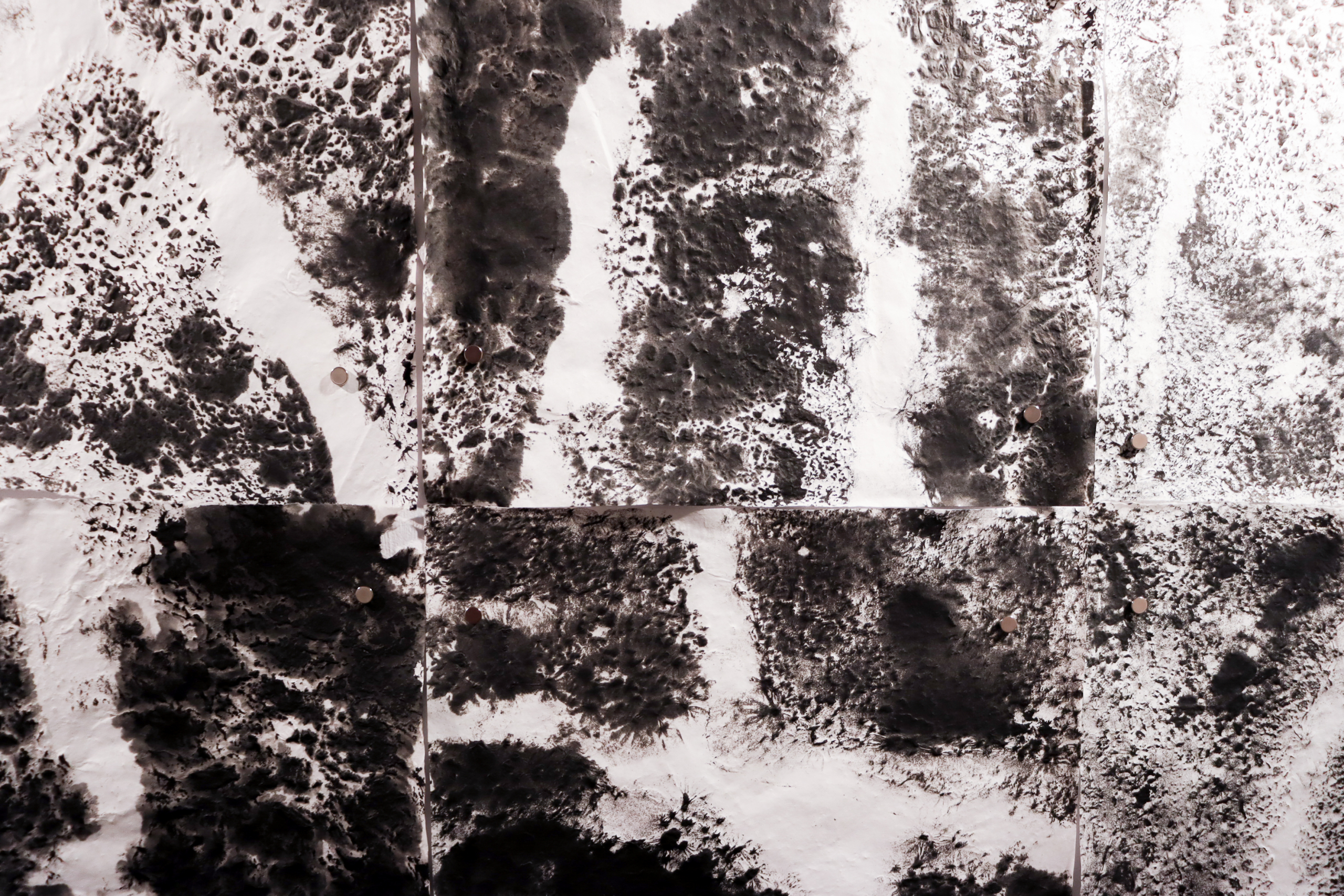 Large abstract black-and-white works arranged in grid on wall