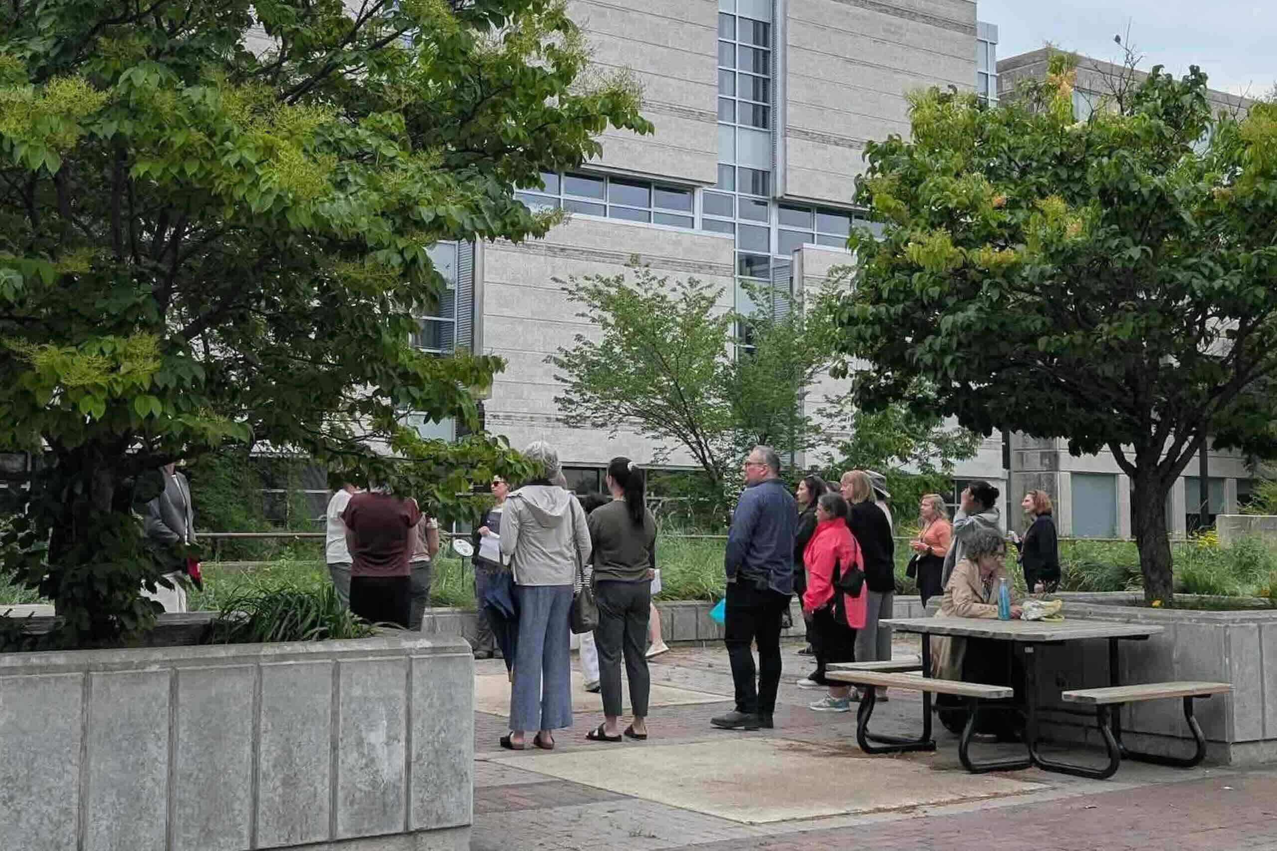 People gather beside a large shrub in a planter.