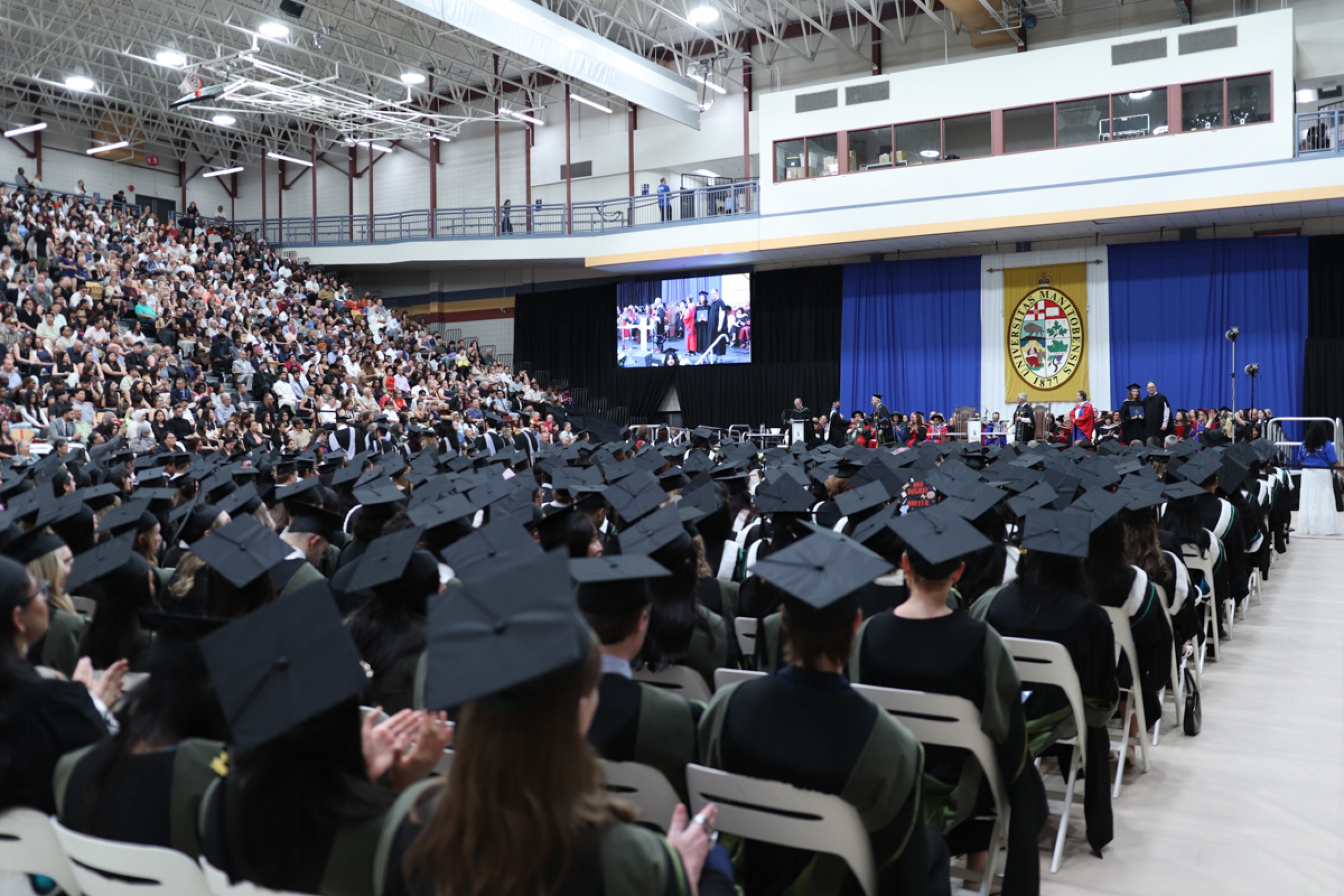 Students at a convocation ceremony.