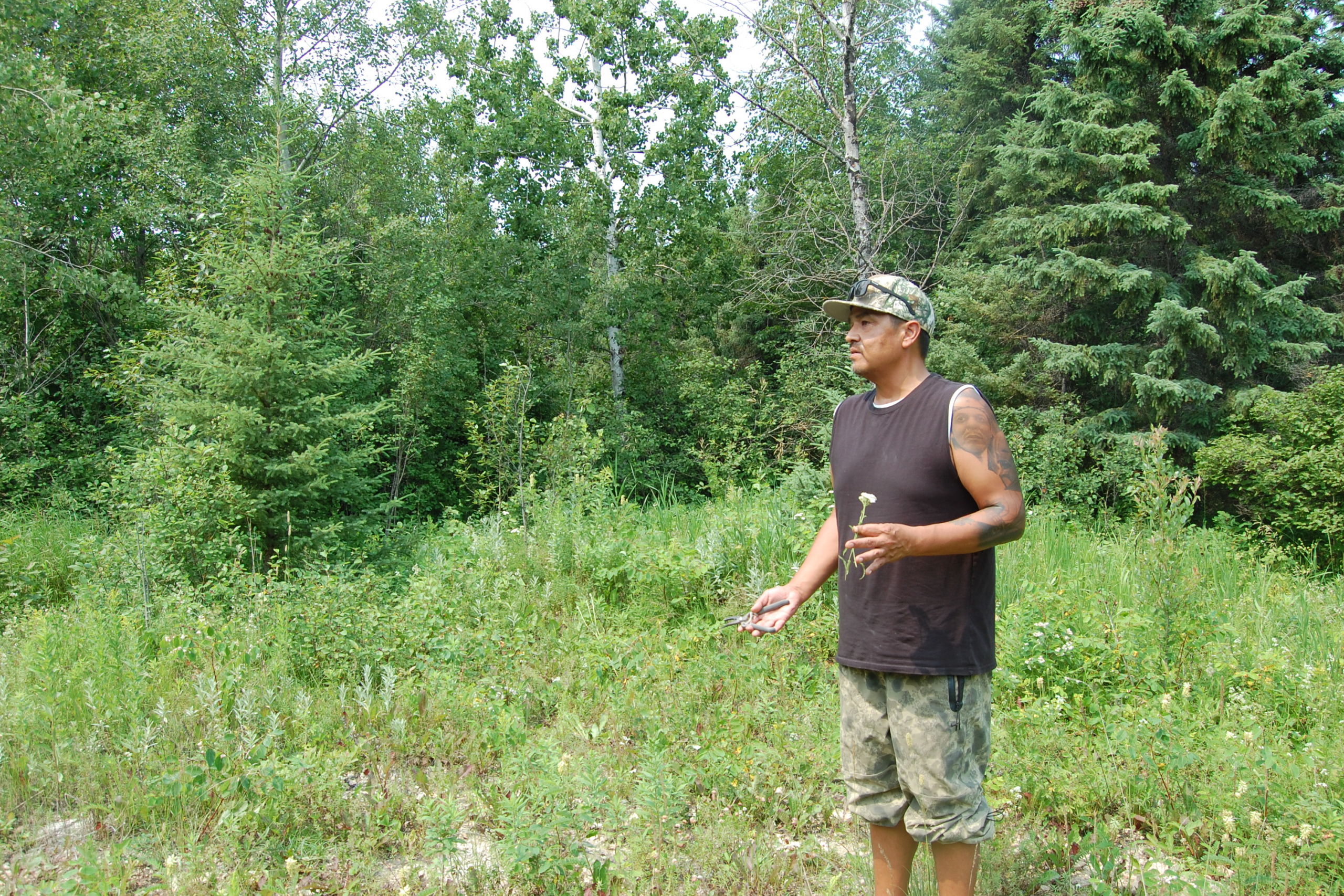 Red Sky Bird standing in a forested area holding a yarrow plant.