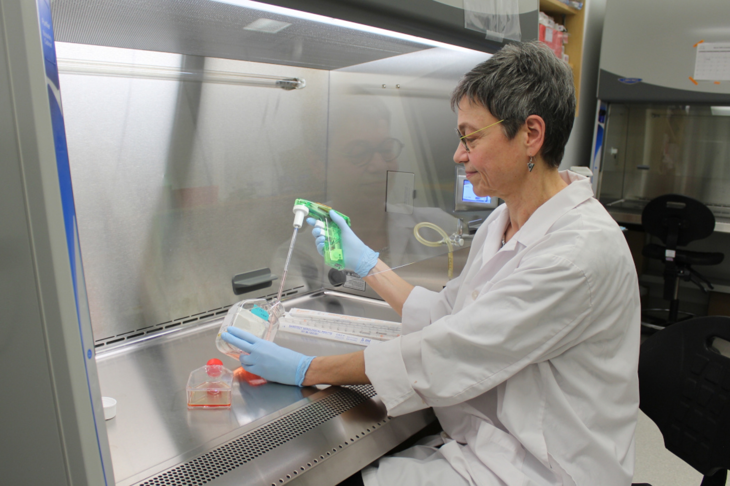 Dr. Sabine Hombach-Klonisch sits behind a protective shield. She is wearing a white lab coat and is holding a pipette and a container. 