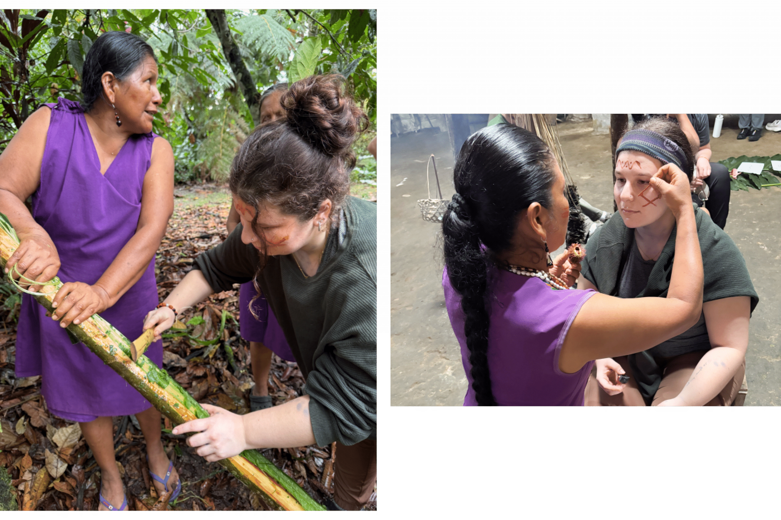 Two images side by side. Image 1: Two people extract plant fibres from a plant. Image 2: A traditional healer applies traditional face paint on a student.