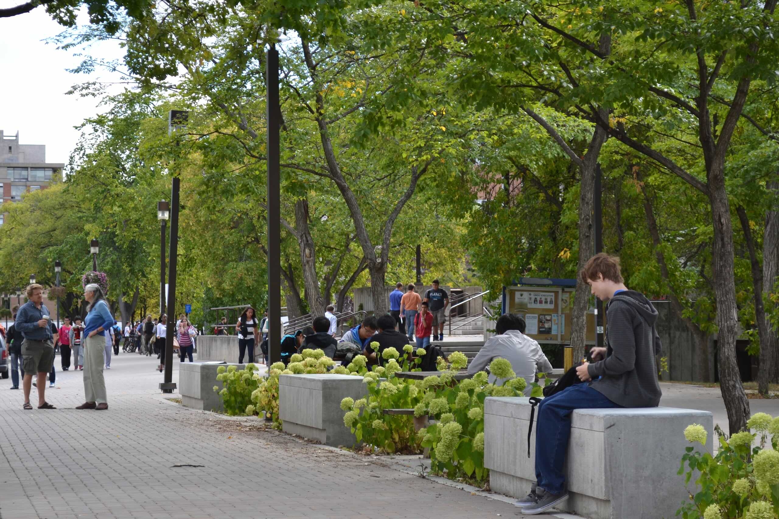 Green trees and planters line a cobbled walkway with people sitting, standing and walking.