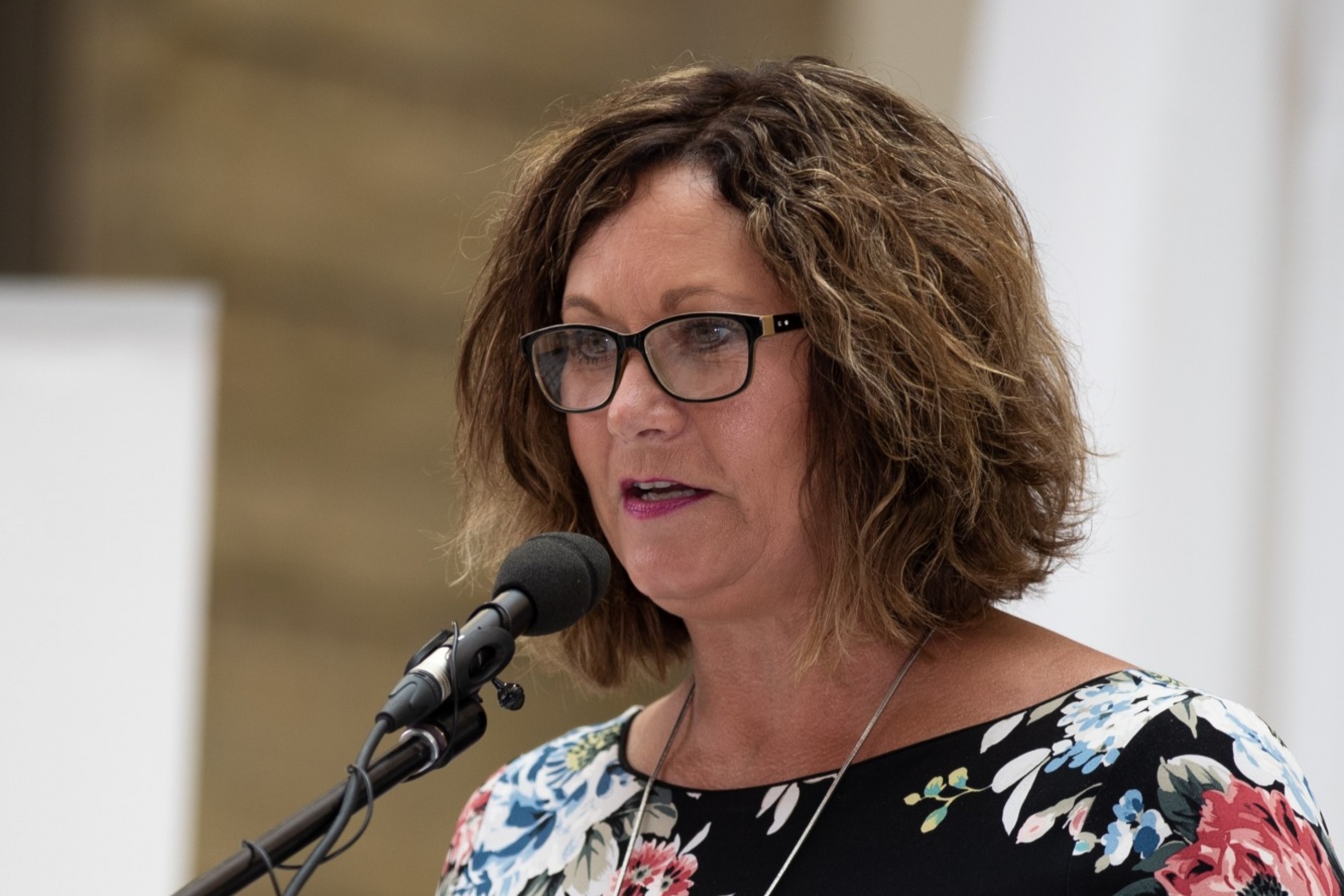 Theresa Oswald speaks at Dr. Brian Postl's retirement celebration.