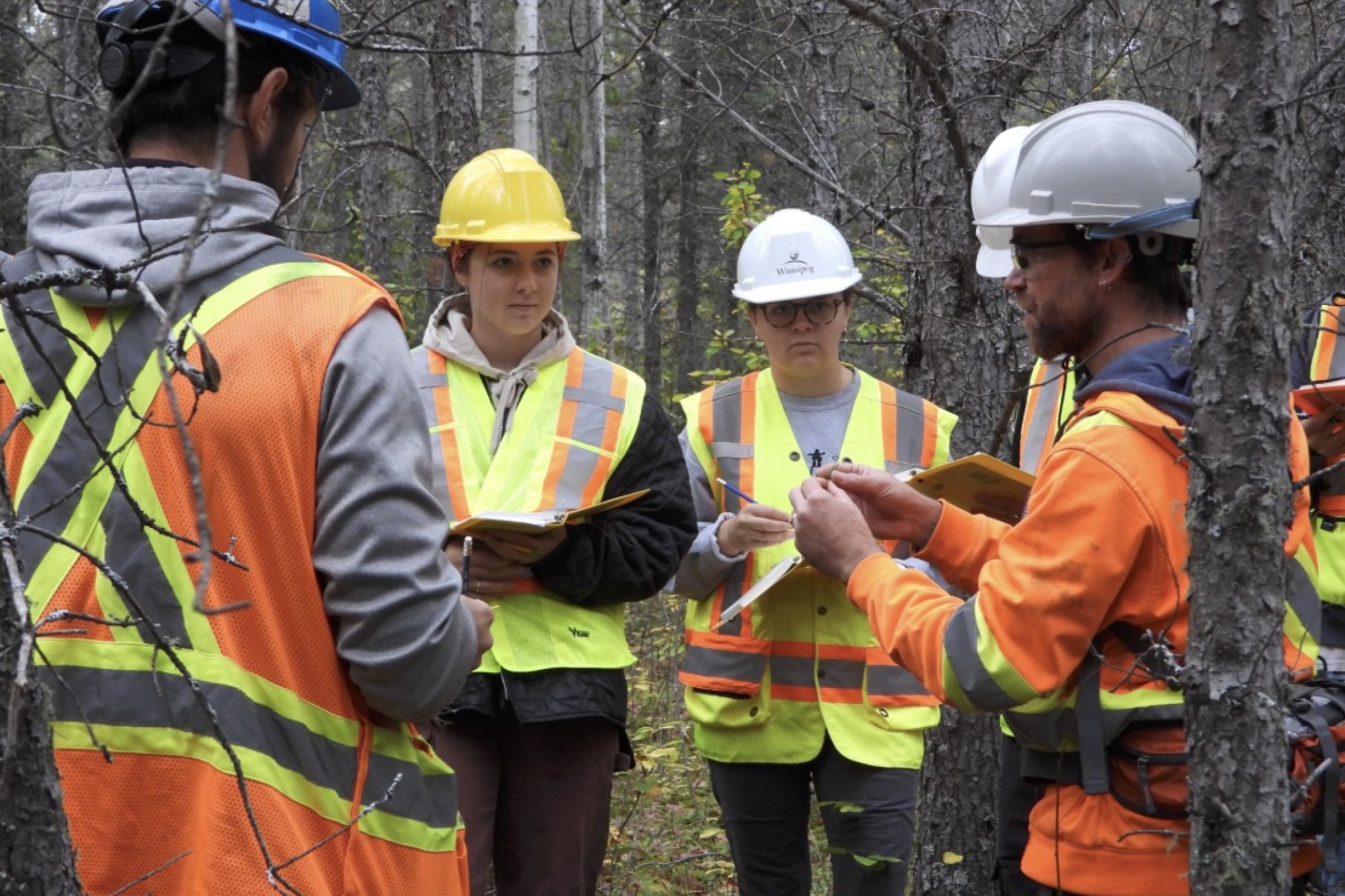 A group of students wearing hi-viz and hard hats take notes in a forest. 