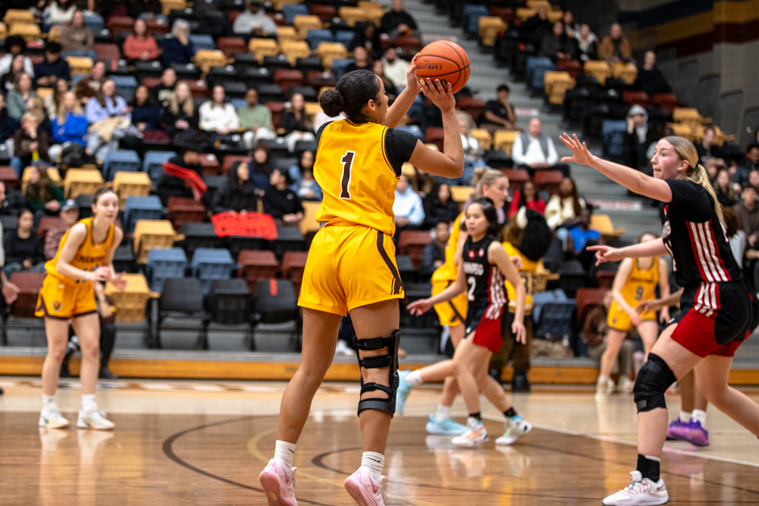Bisons women's basketball player sets up a shot on basket against
