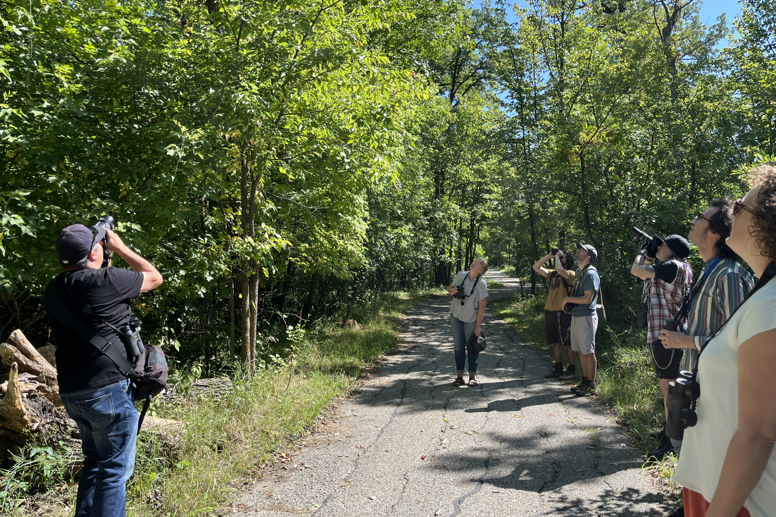 group of people with binoculars looking at a green tree.