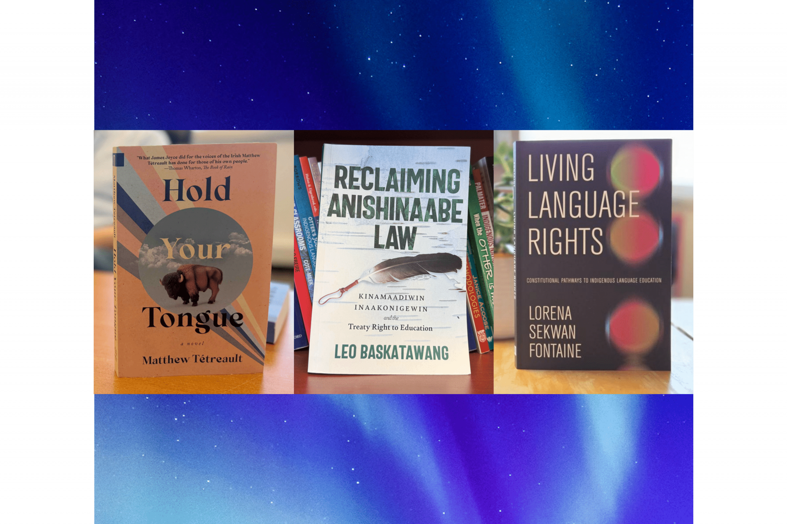 Collage of three book covers over background of northern lights.