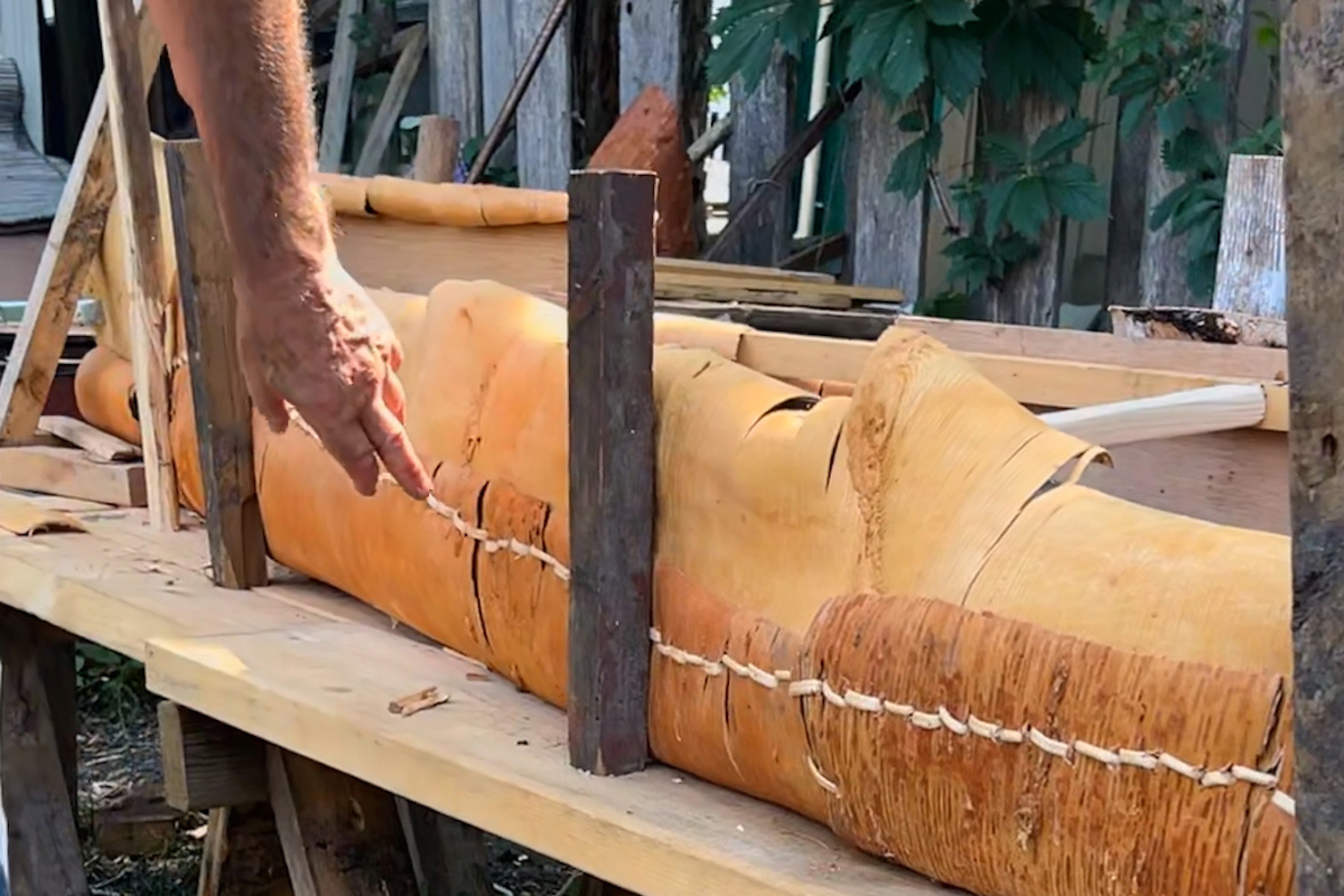 A hand points to the seam of a unfinished handmade birch bark canoe.