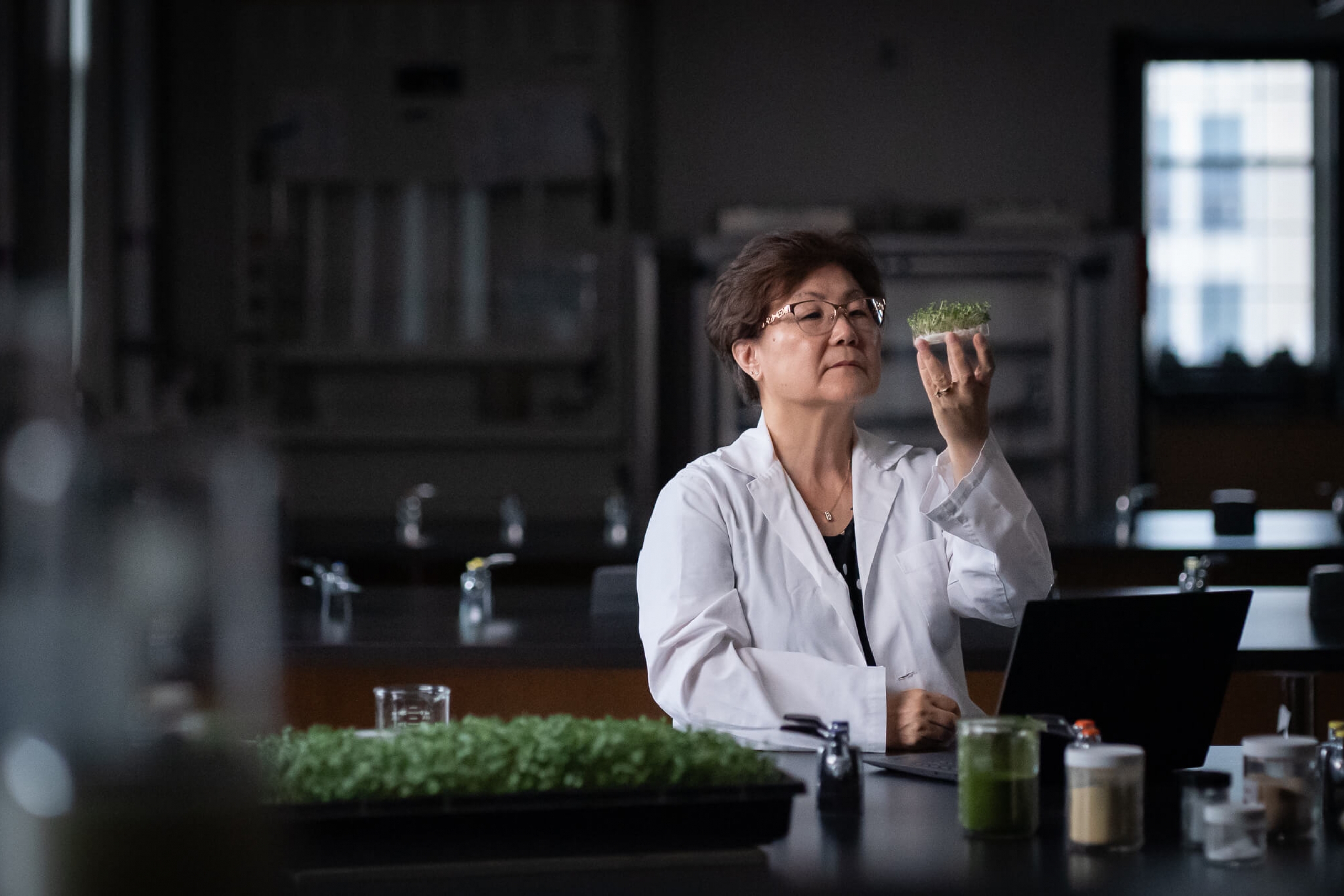 Miyoung Suh, professor of Food and Human Nutritional Sciences at the University of Manitoba, looks at greens in her lab