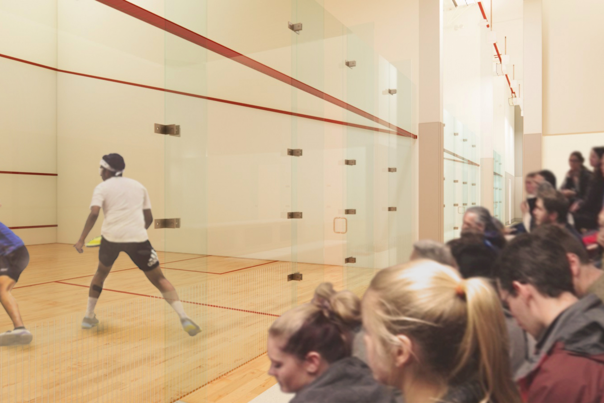 Squash court renderings