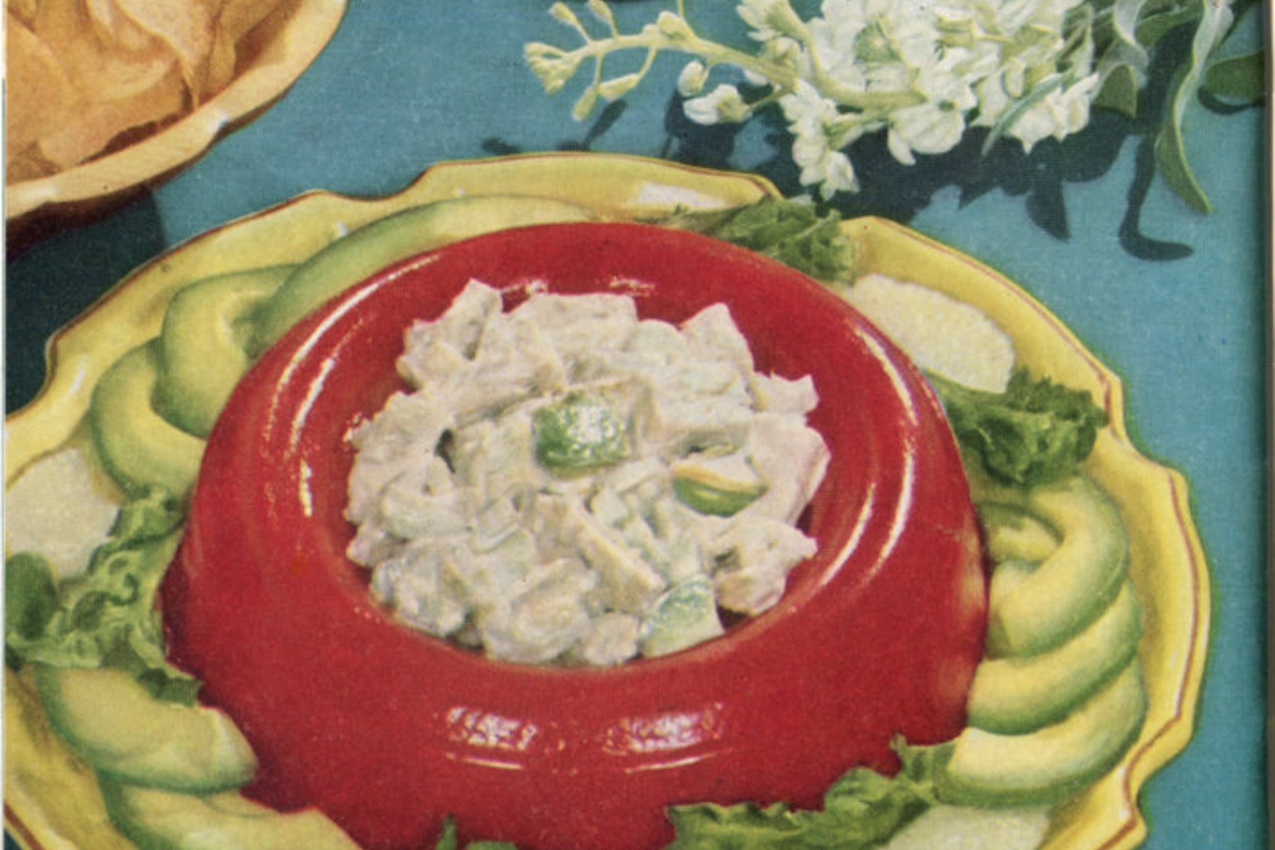Close-up of colourful food plate of green cucumbers surrounding red aspic bowl holding salad.