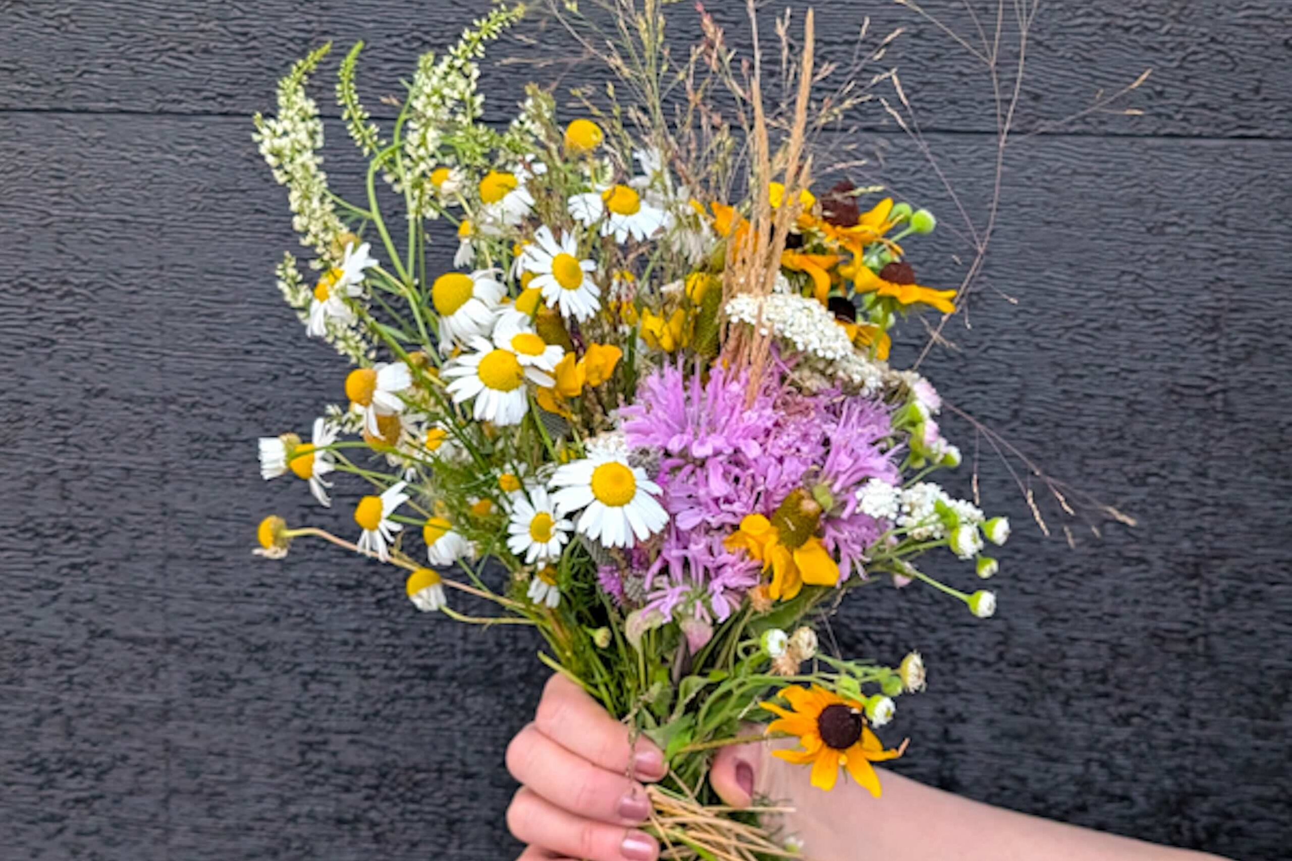 Bouquet of colour prairie wildflowers.
