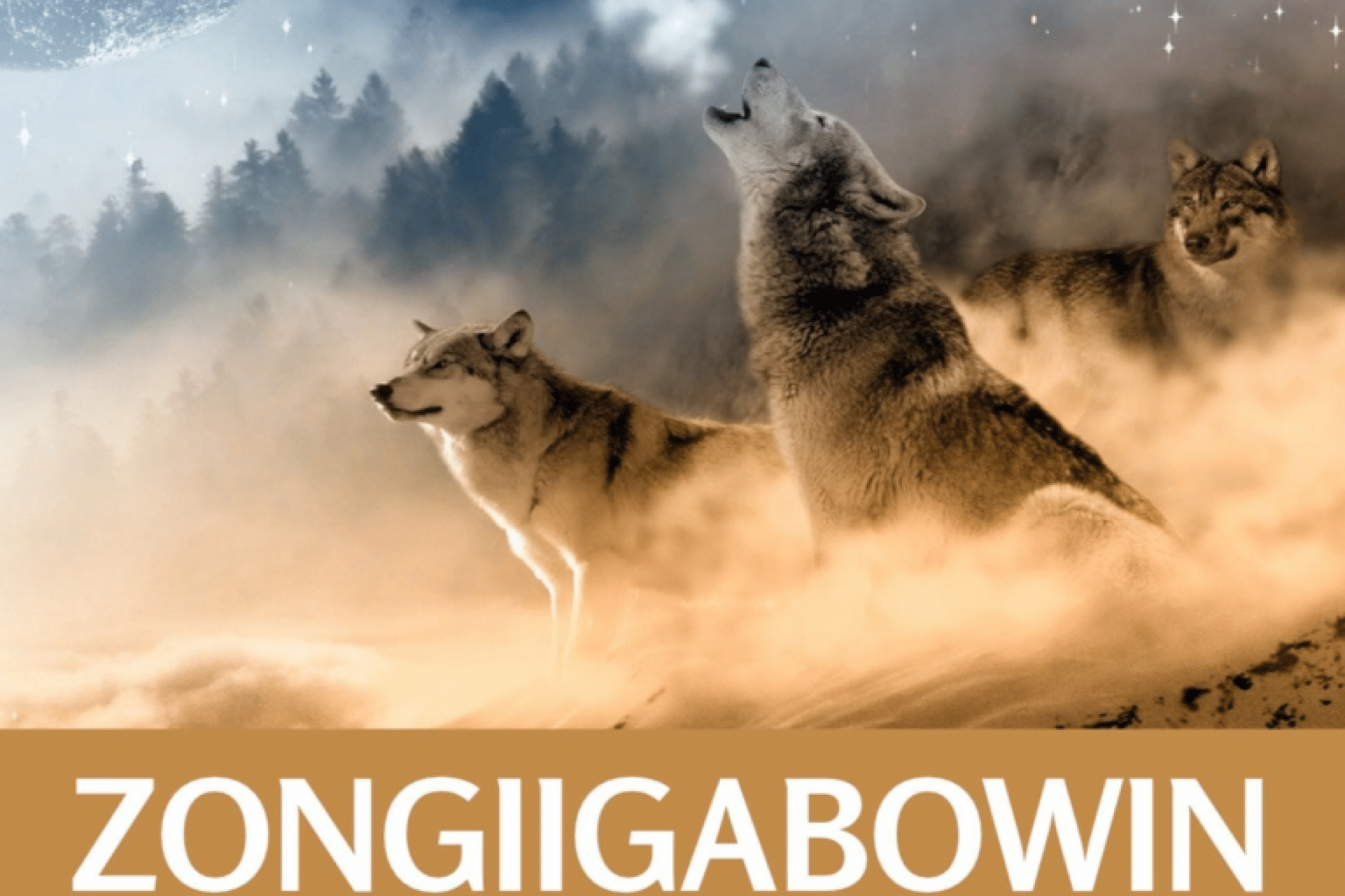 A poster of ZONGIIGABOWIN Circle.