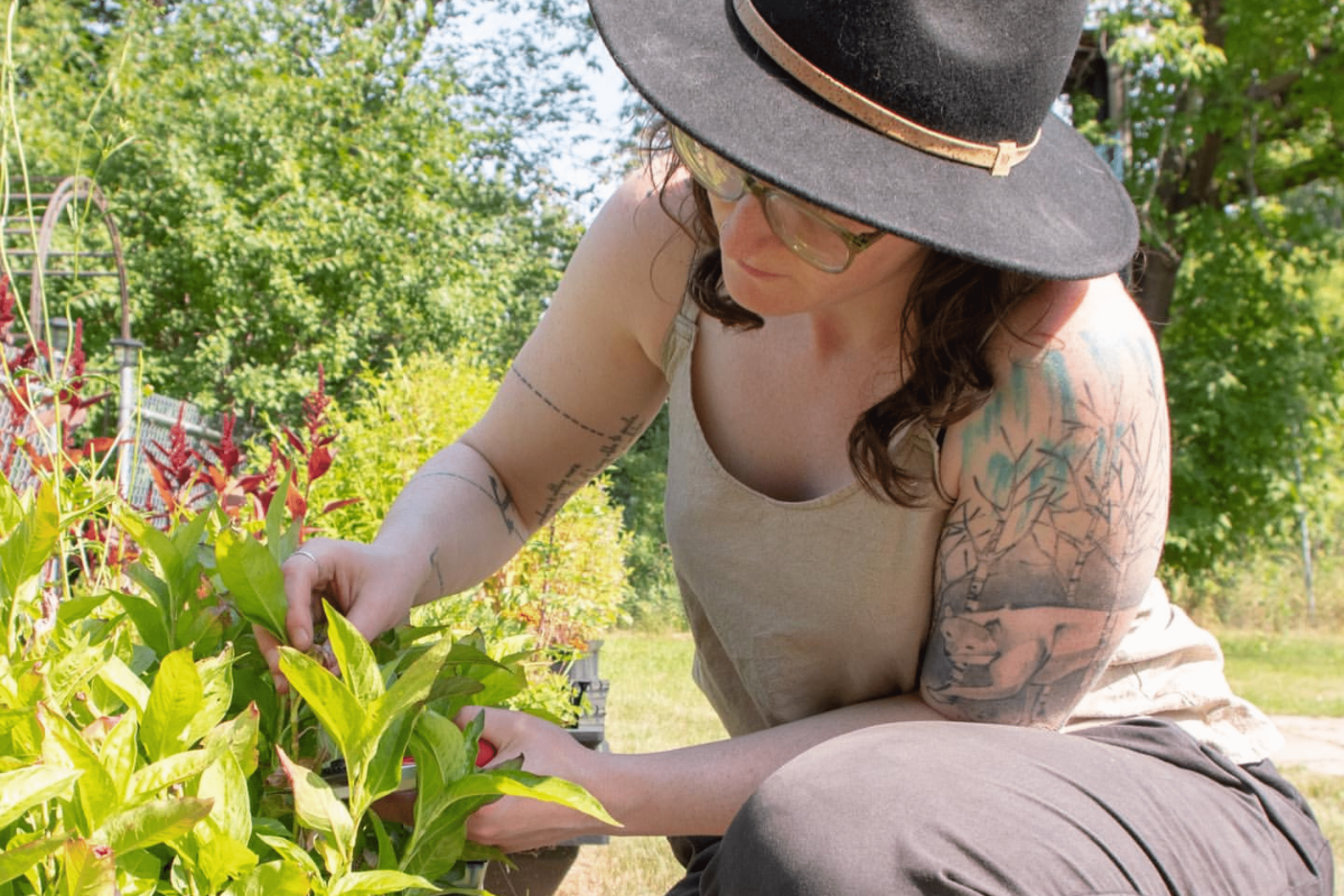woman in garden