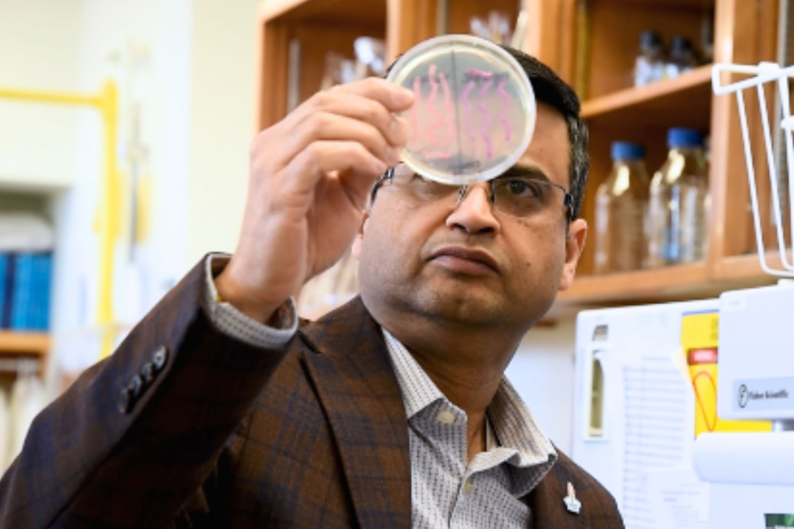 Ayush Kumar looking at an agar plate.