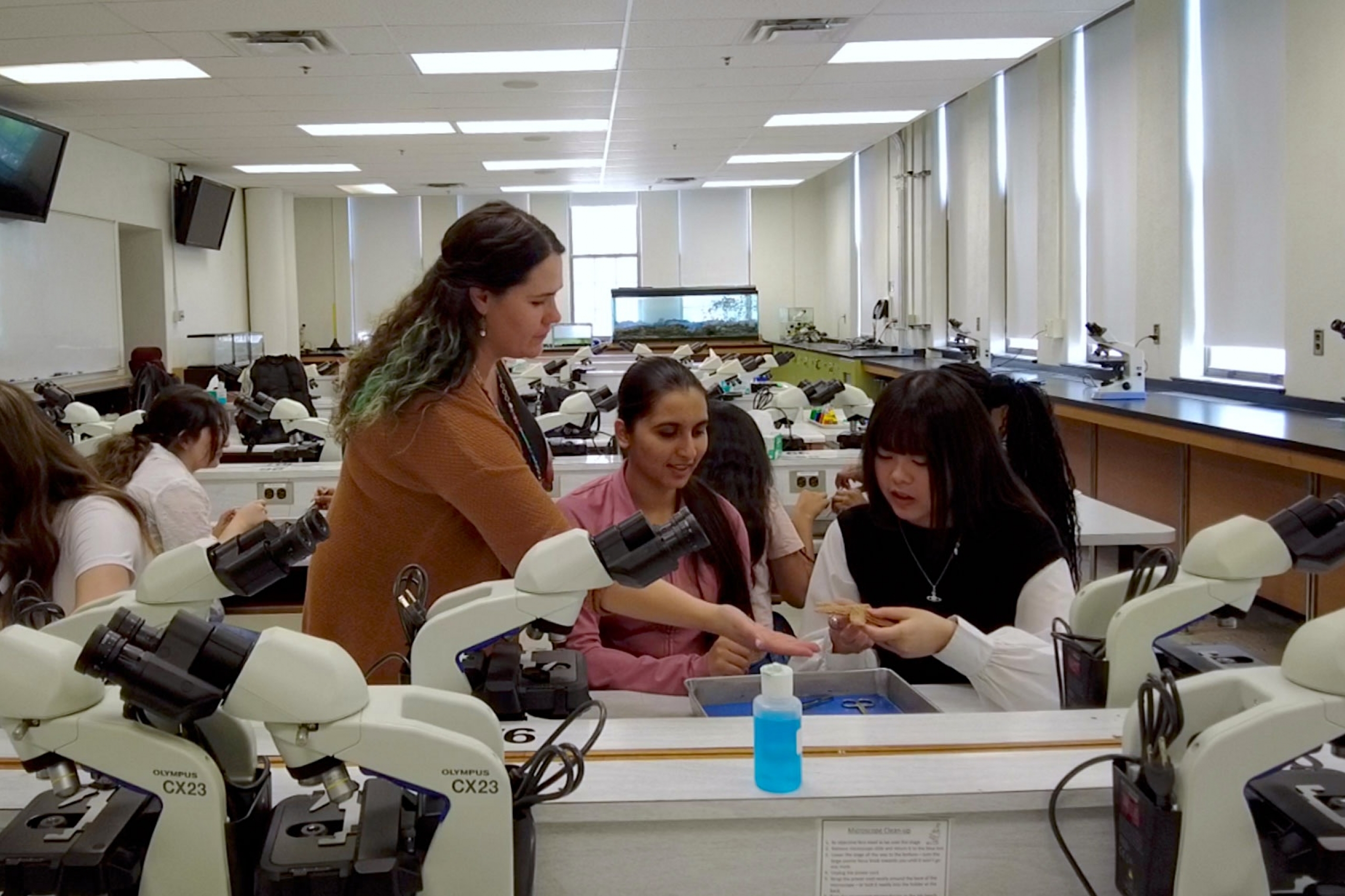An instructor helping students in a starfish lab experiment.
