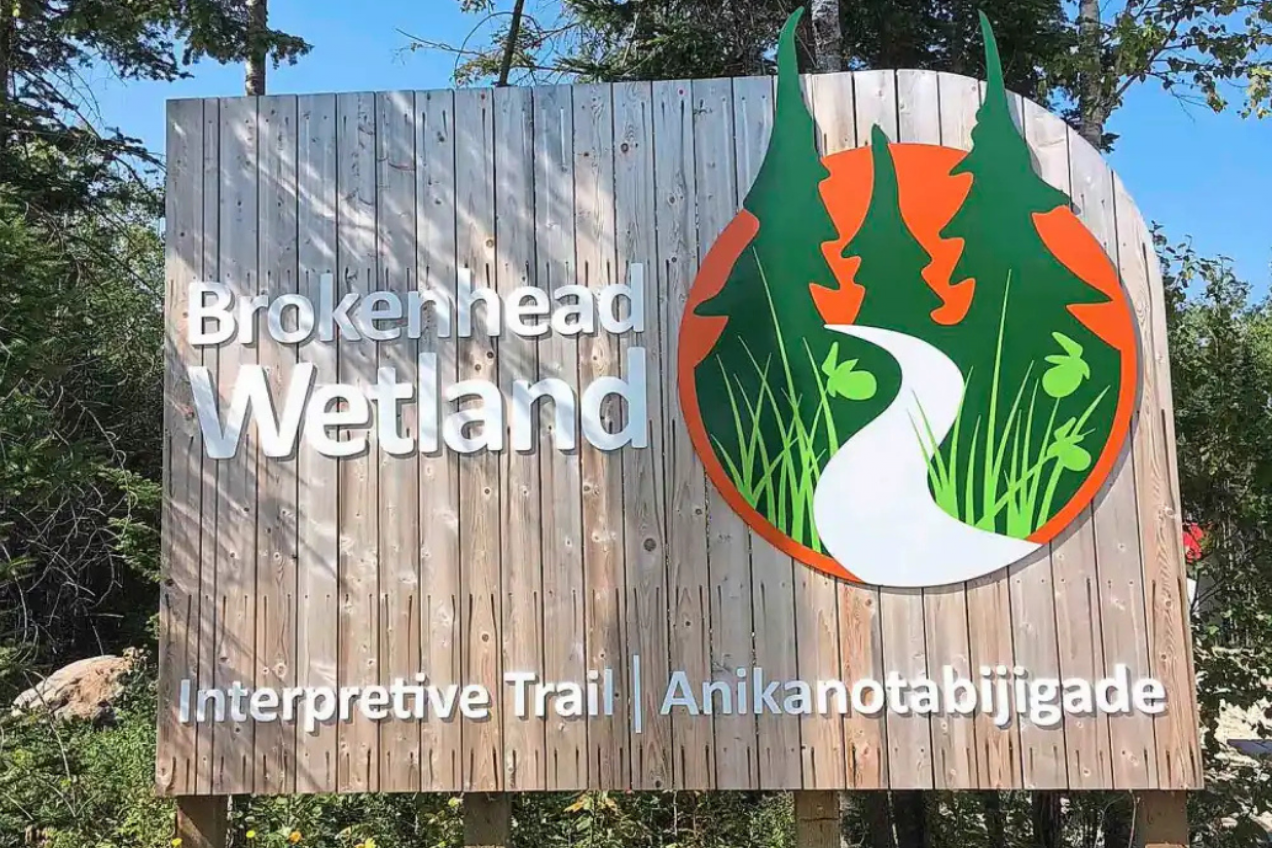 A wooden boardwalk trail winding through a dense green forest.