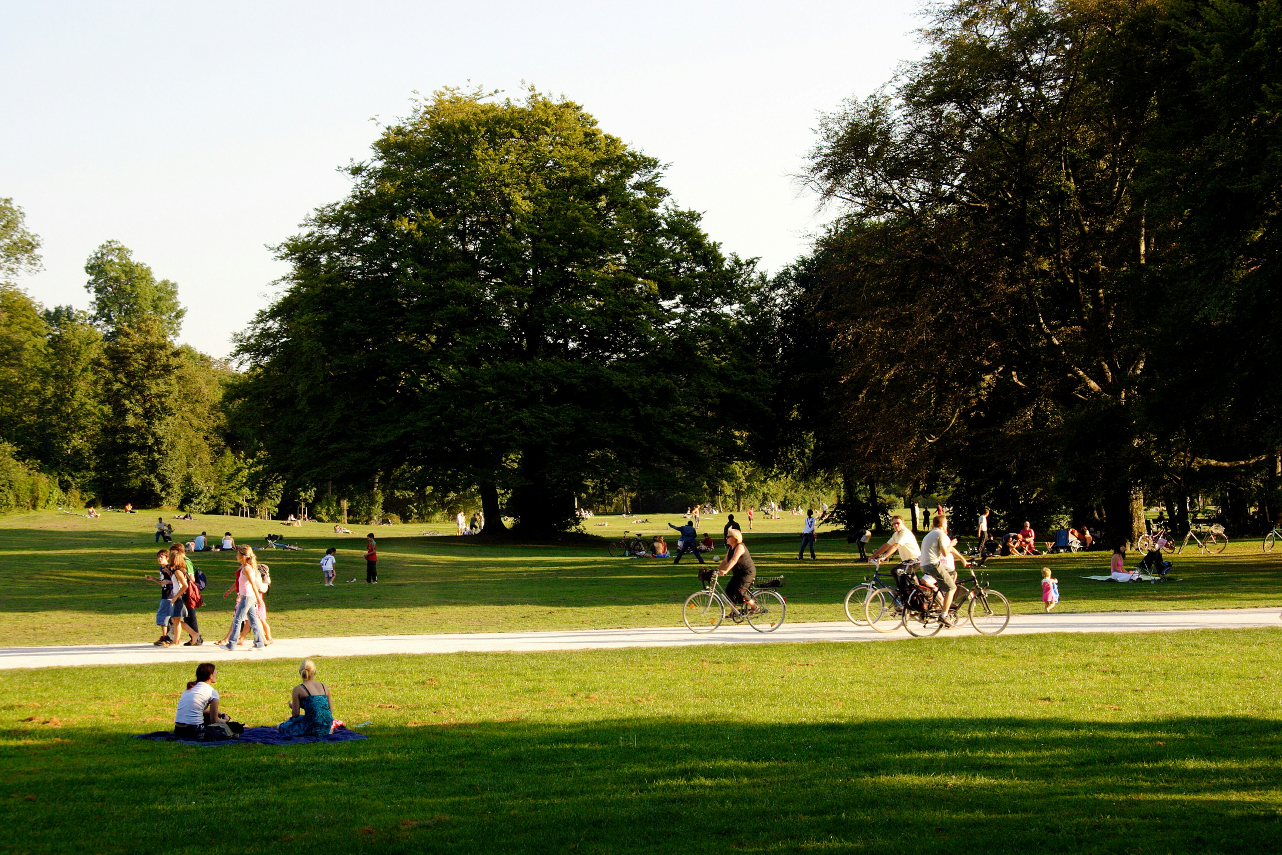 People engaging in outdoor activity in a park, including biking and walking.